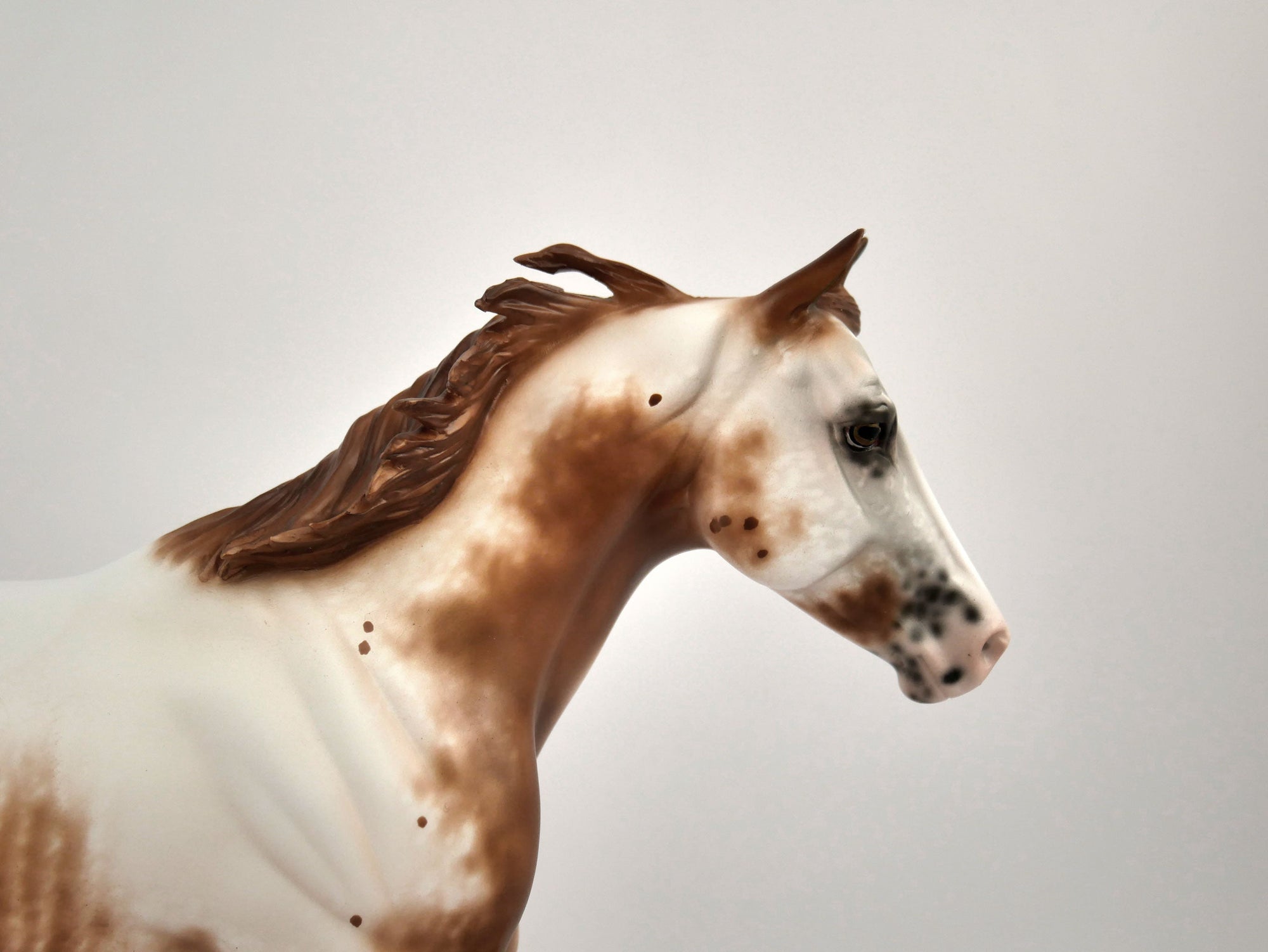 Tsula-OOAK Foundation Quater Horse By Sheryl Leisure MM2020