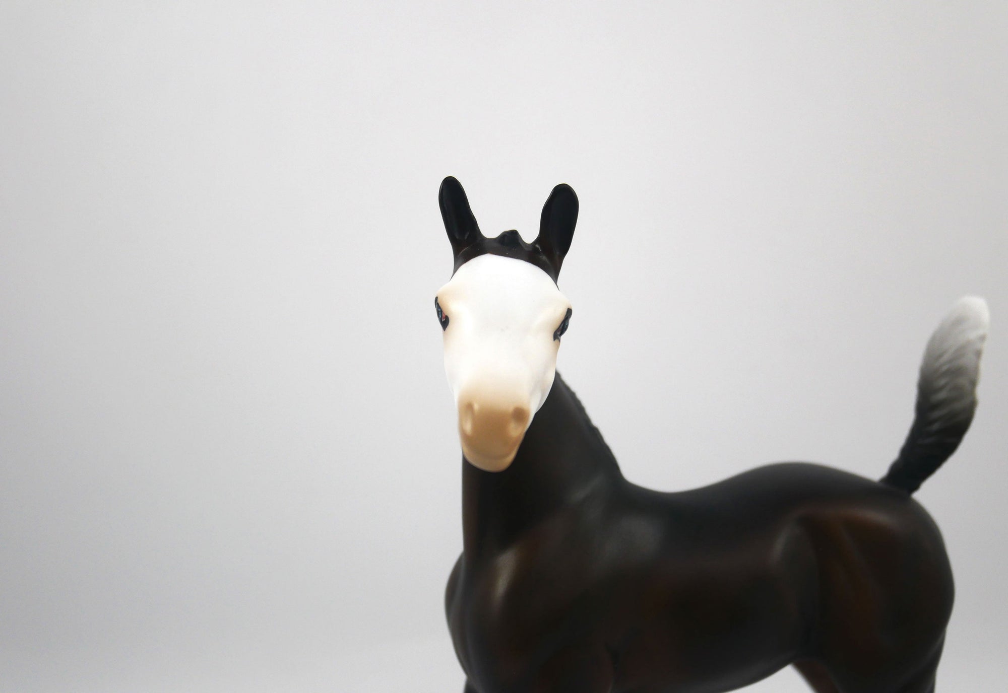 Tackle-OOAK Bay Paint Arabian Foal Painted by Audrey Dixon SB21