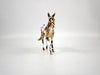 Tado-OOAK-Loud Appaloosa Mule Painted By Andrea 12/30/20