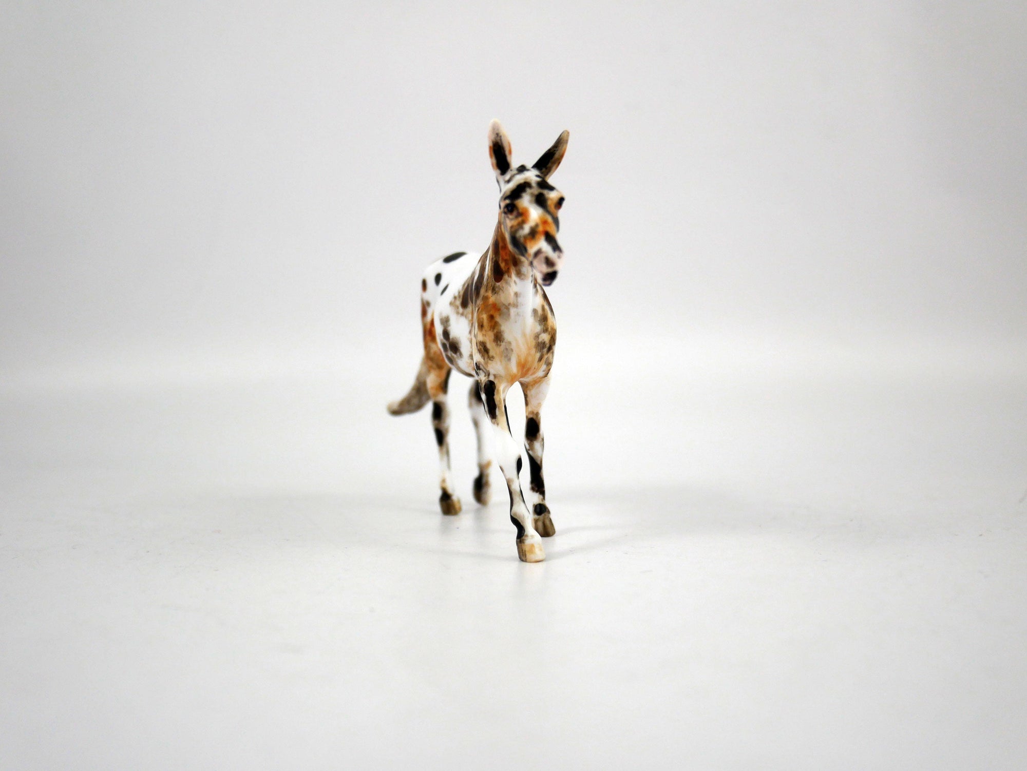 Tado-OOAK-Loud Appaloosa Mule Painted By Andrea 12/30/20