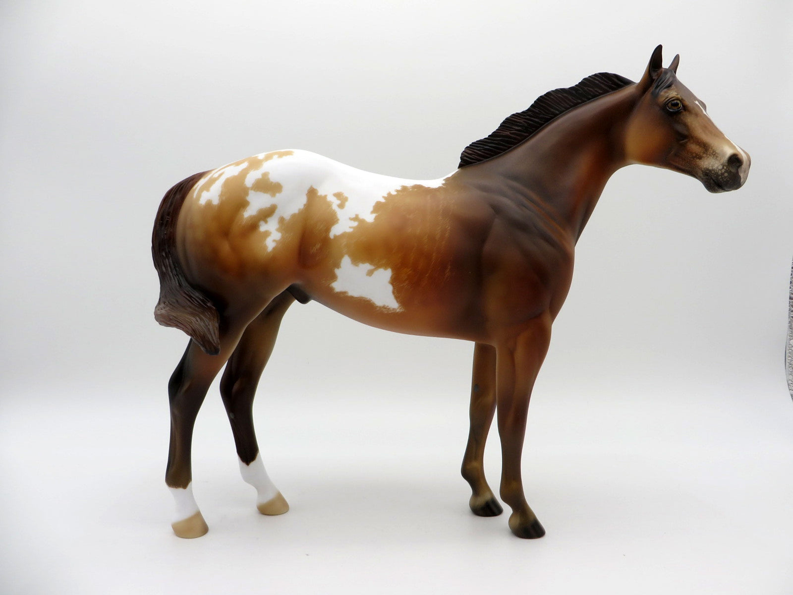 Takashi-OOAK Chestnut Appaloosa ISH  Equilocity 2021 Painted by Julie Keim