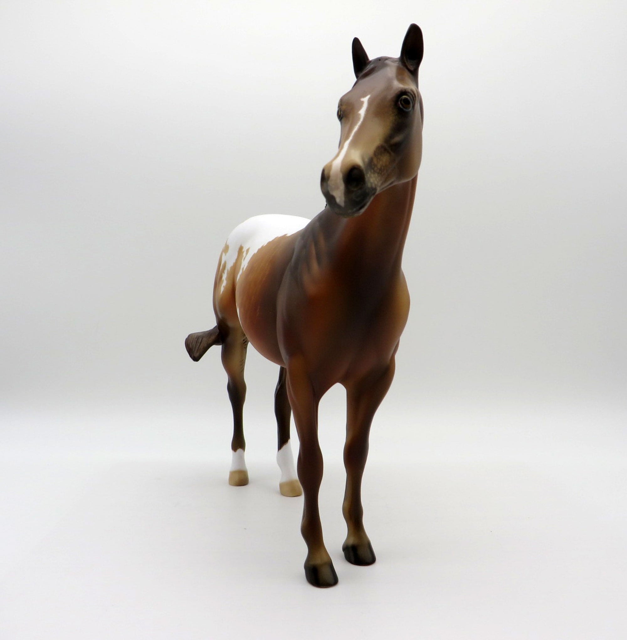 Takashi-OOAK Chestnut Appaloosa ISH  Equilocity 2021 Painted by Julie Keim