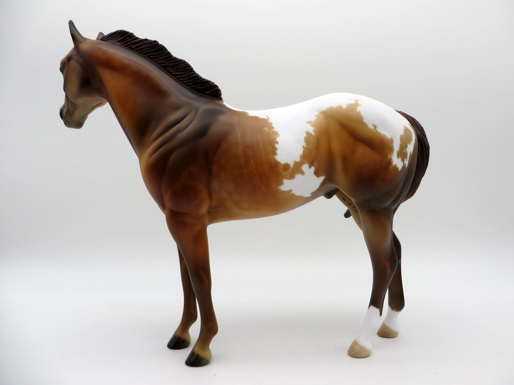 Takashi-OOAK Chestnut Appaloosa ISH  Equilocity 2021 Painted by Julie Keim