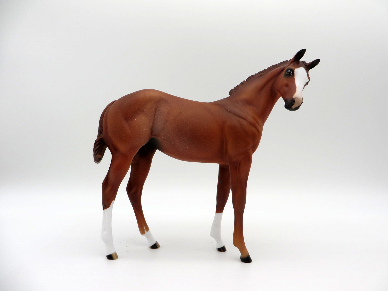 Talia-OOAK Chestnut Weanling-SHCF 2021
