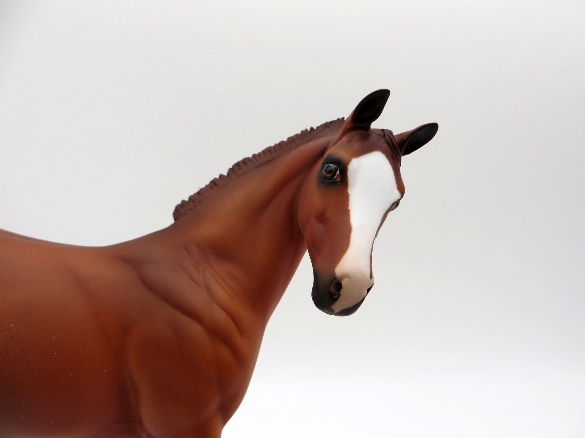 Talia-OOAK Chestnut Weanling-SHCF 2021