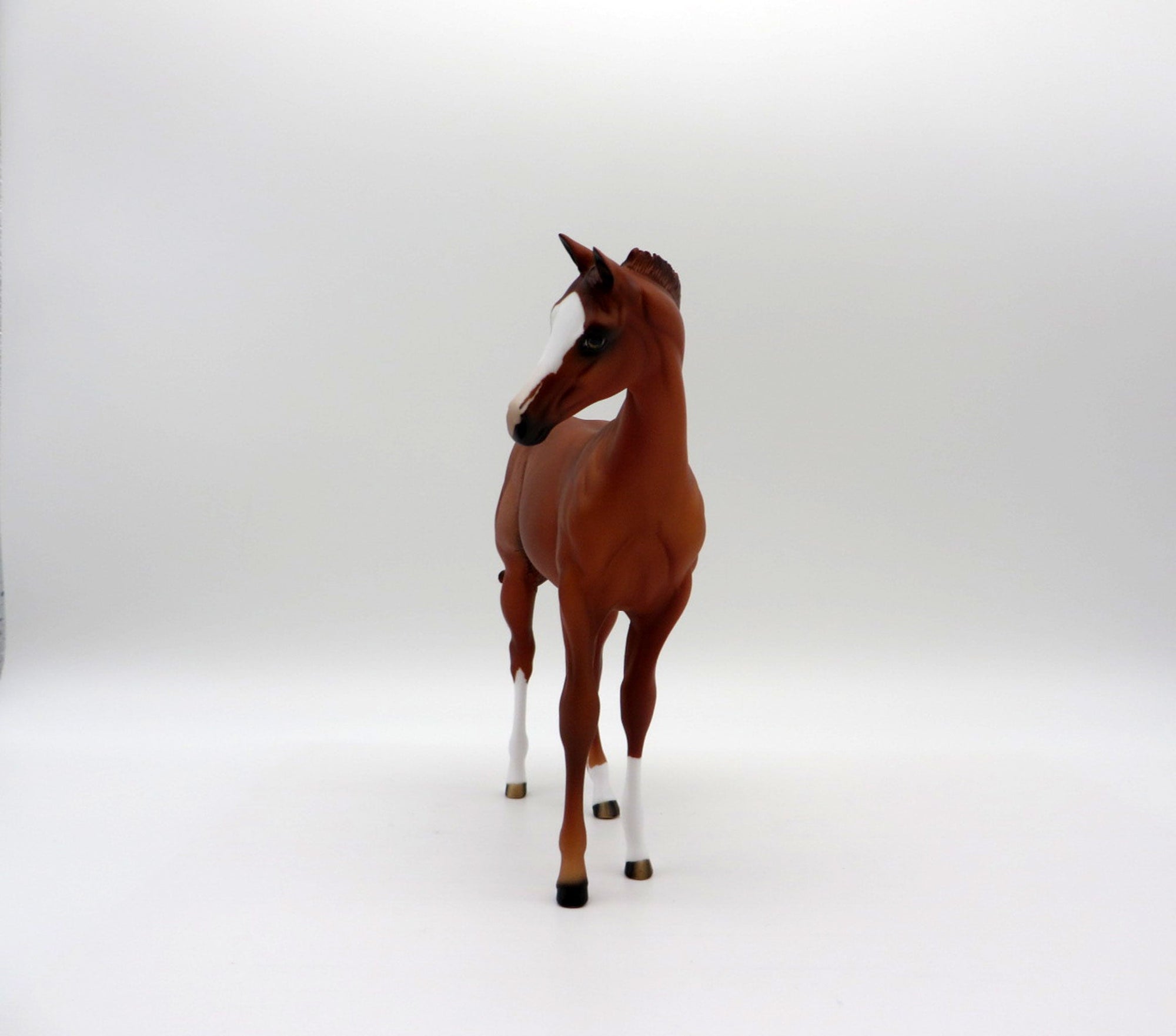 Talia-OOAK Chestnut Weanling-SHCF 2021