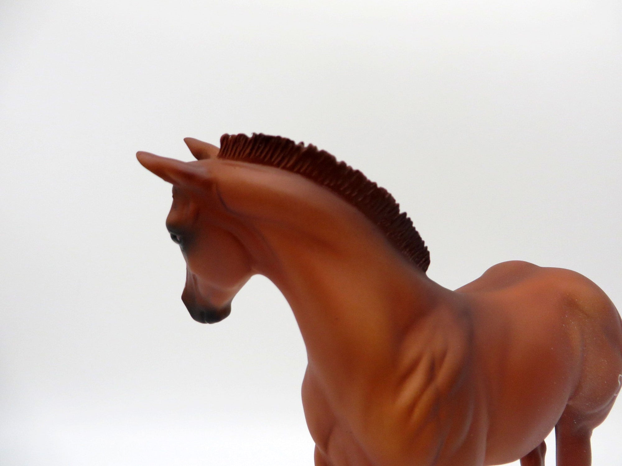 Talia-OOAK Chestnut Weanling-SHCF 2021