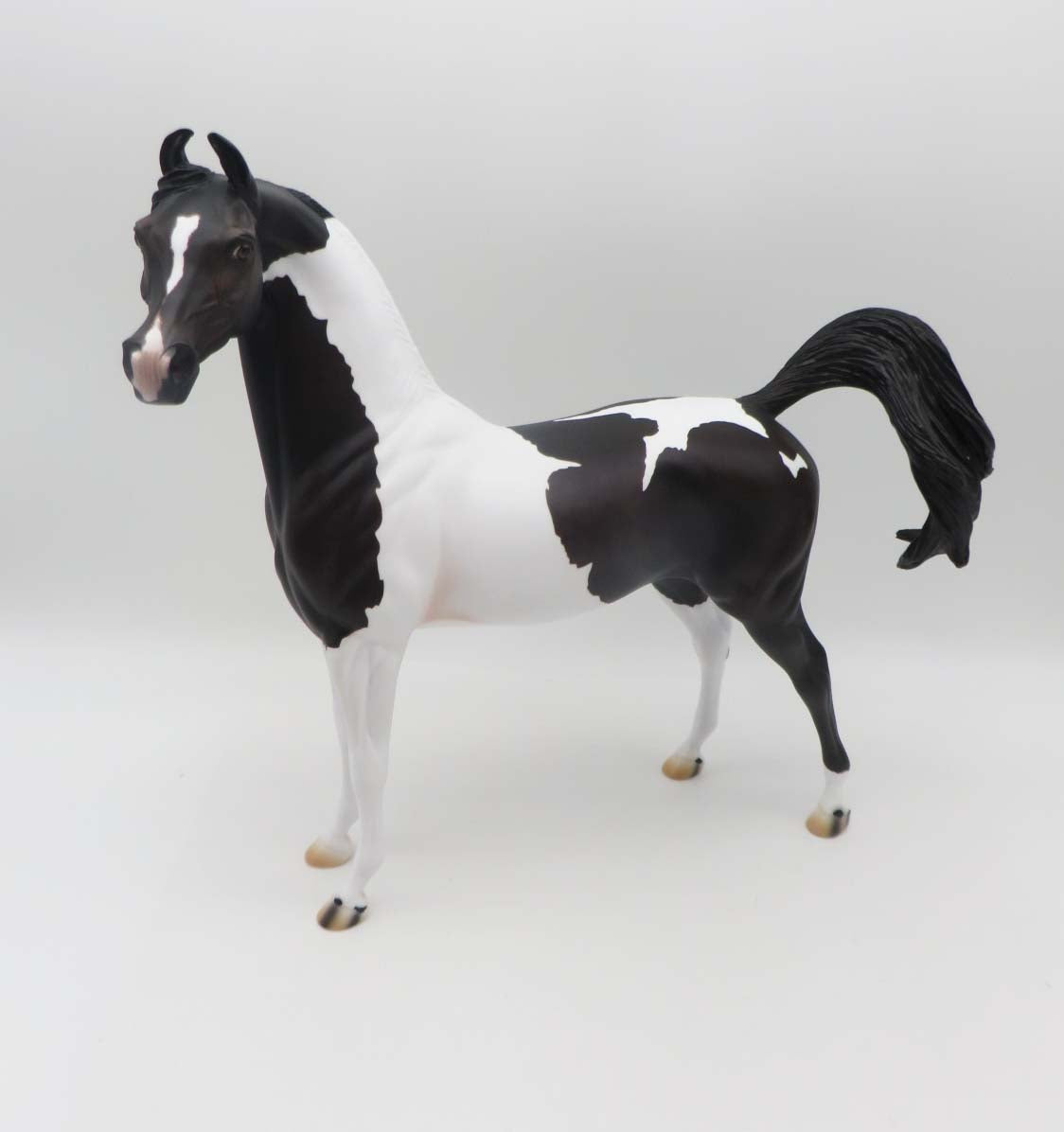 Tall Drink Of Water - OOAK - Sunburnt Black Tobiano Marwari Arabian By Ashley Palmer - SHCF23