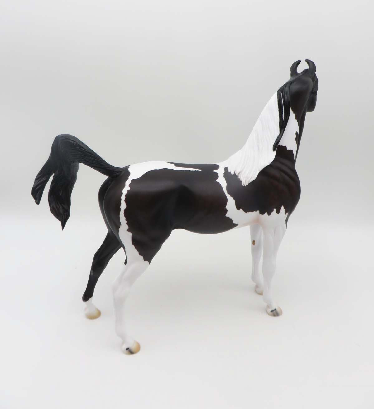 Tall Drink Of Water - OOAK - Sunburnt Black Tobiano Marwari Arabian By Ashley Palmer - SHCF23