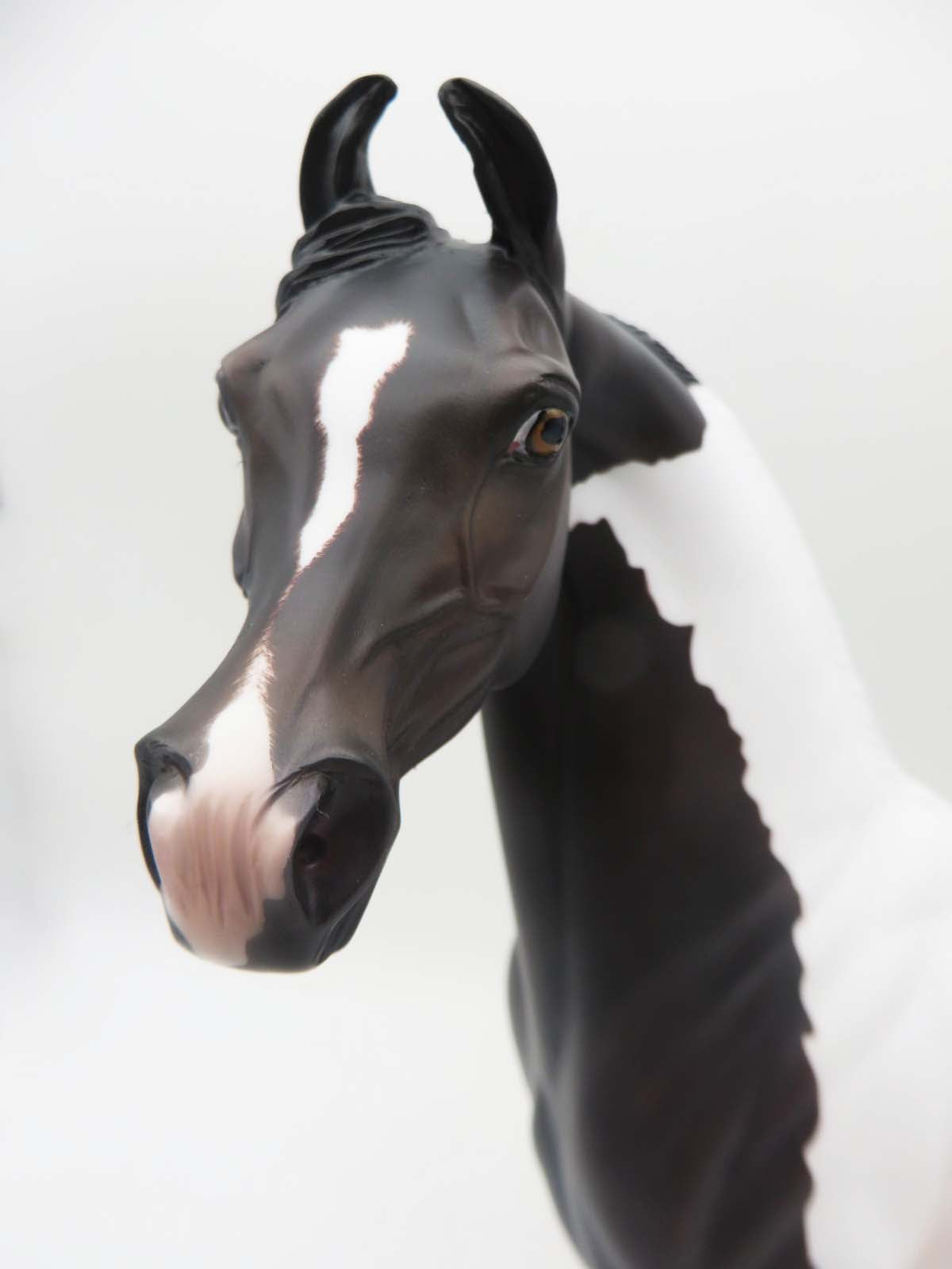 Tall Drink Of Water - OOAK - Sunburnt Black Tobiano Marwari Arabian By Ashley Palmer - SHCF23