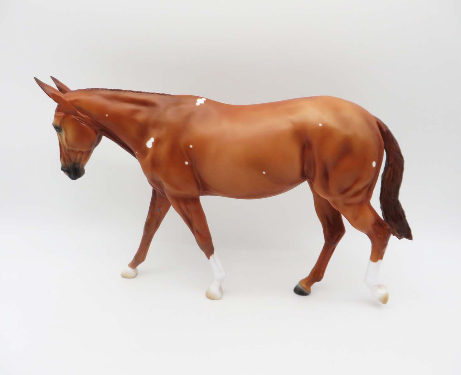 Tallulah - OOAK - Chestnut Mule with Birdcatcher Spots By Ashley Palmer - P&amp;C 23