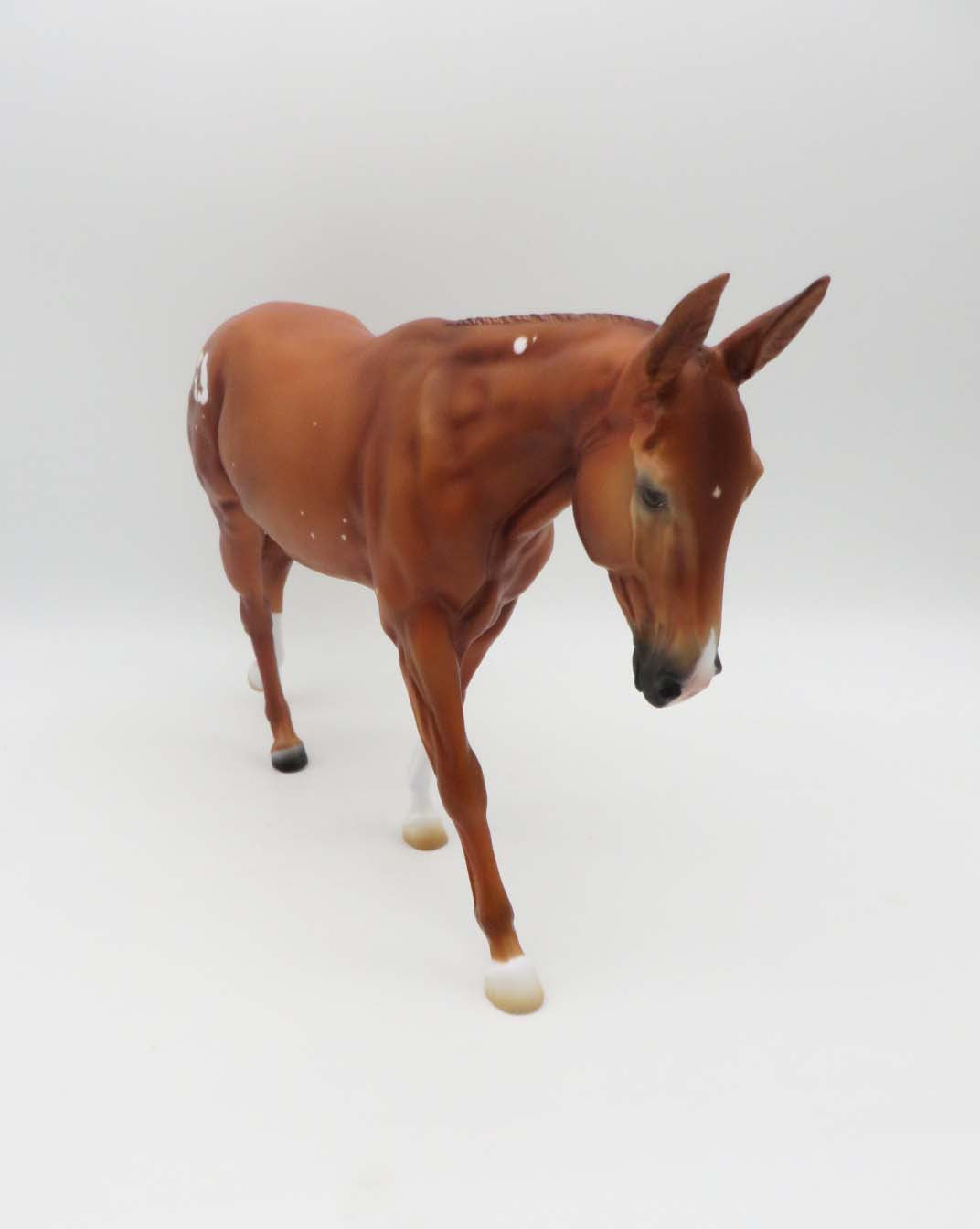 Tallulah - OOAK - Chestnut Mule with Birdcatcher Spots By Ashley Palmer - P&amp;C 23
