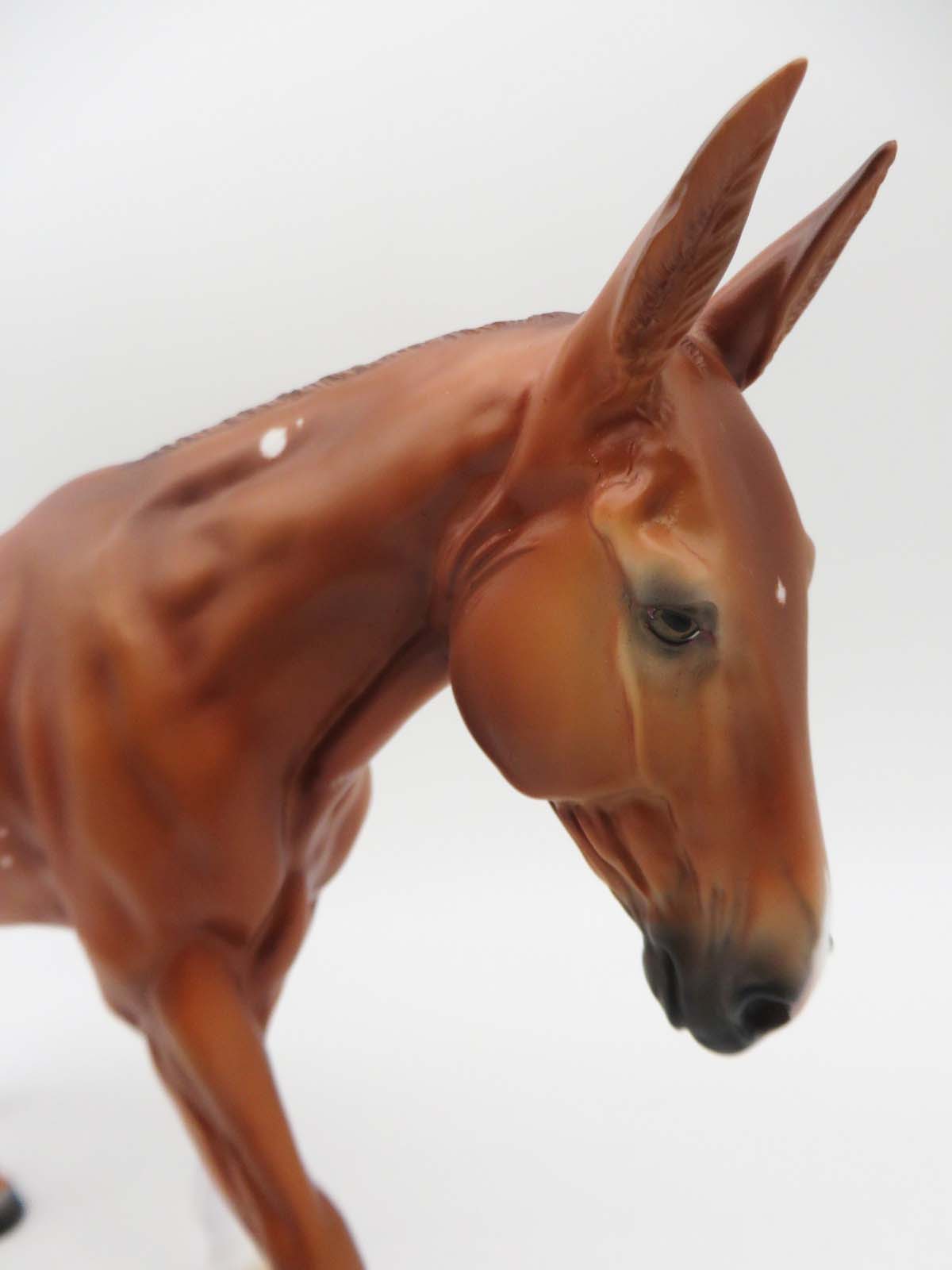 Tallulah - OOAK - Chestnut Mule with Birdcatcher Spots By Ashley Palmer - P&amp;C 23
