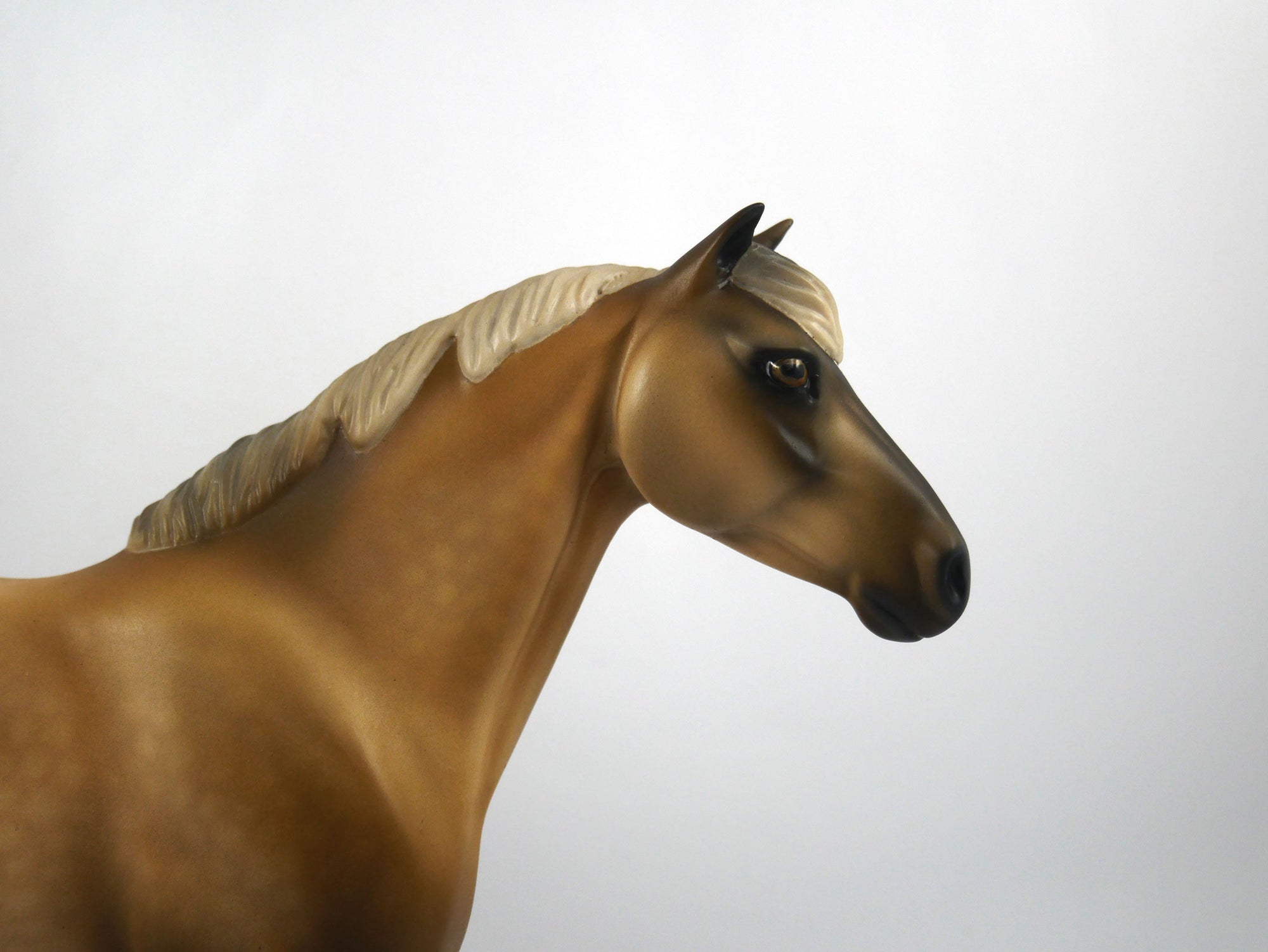 Tampa-OOAK Mustang Painted by Audrey Dixon SB21