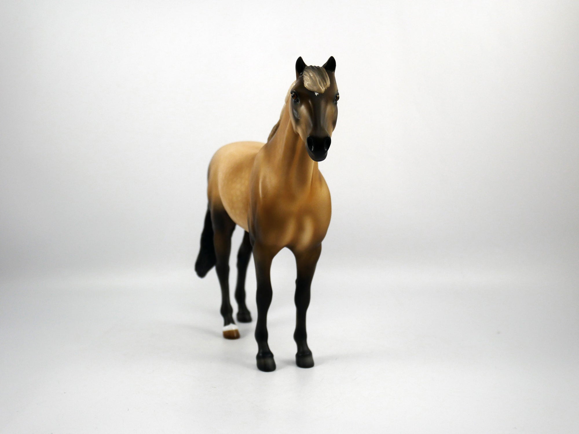 Tampa-OOAK Mustang Painted by Audrey Dixon SB21