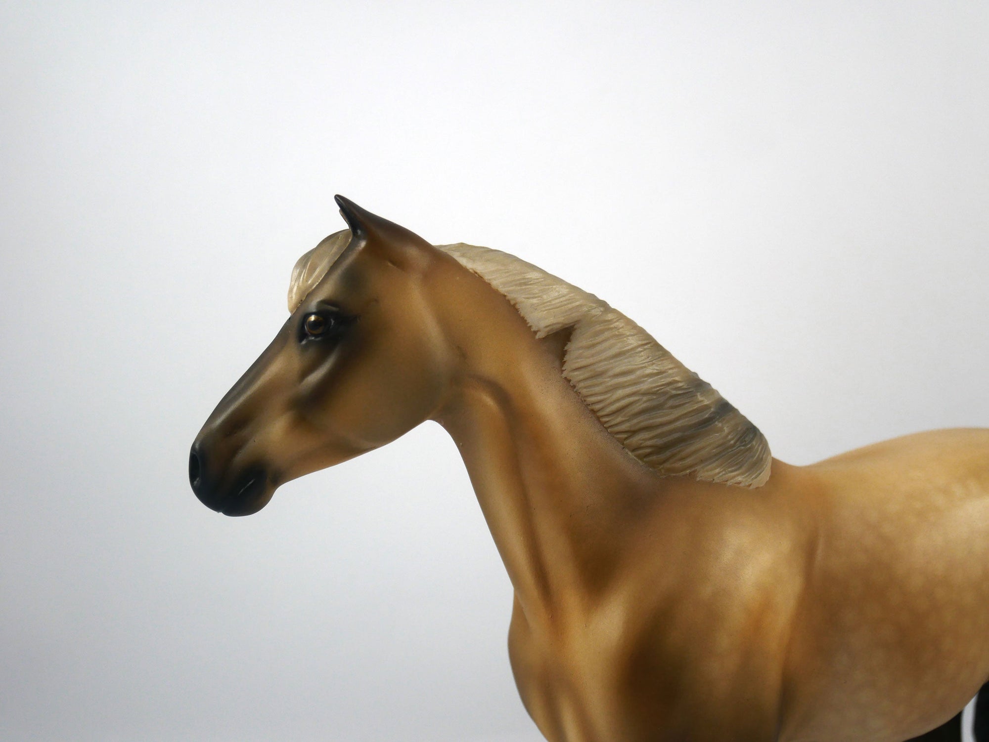 Tampa-OOAK Mustang Painted by Audrey Dixon SB21