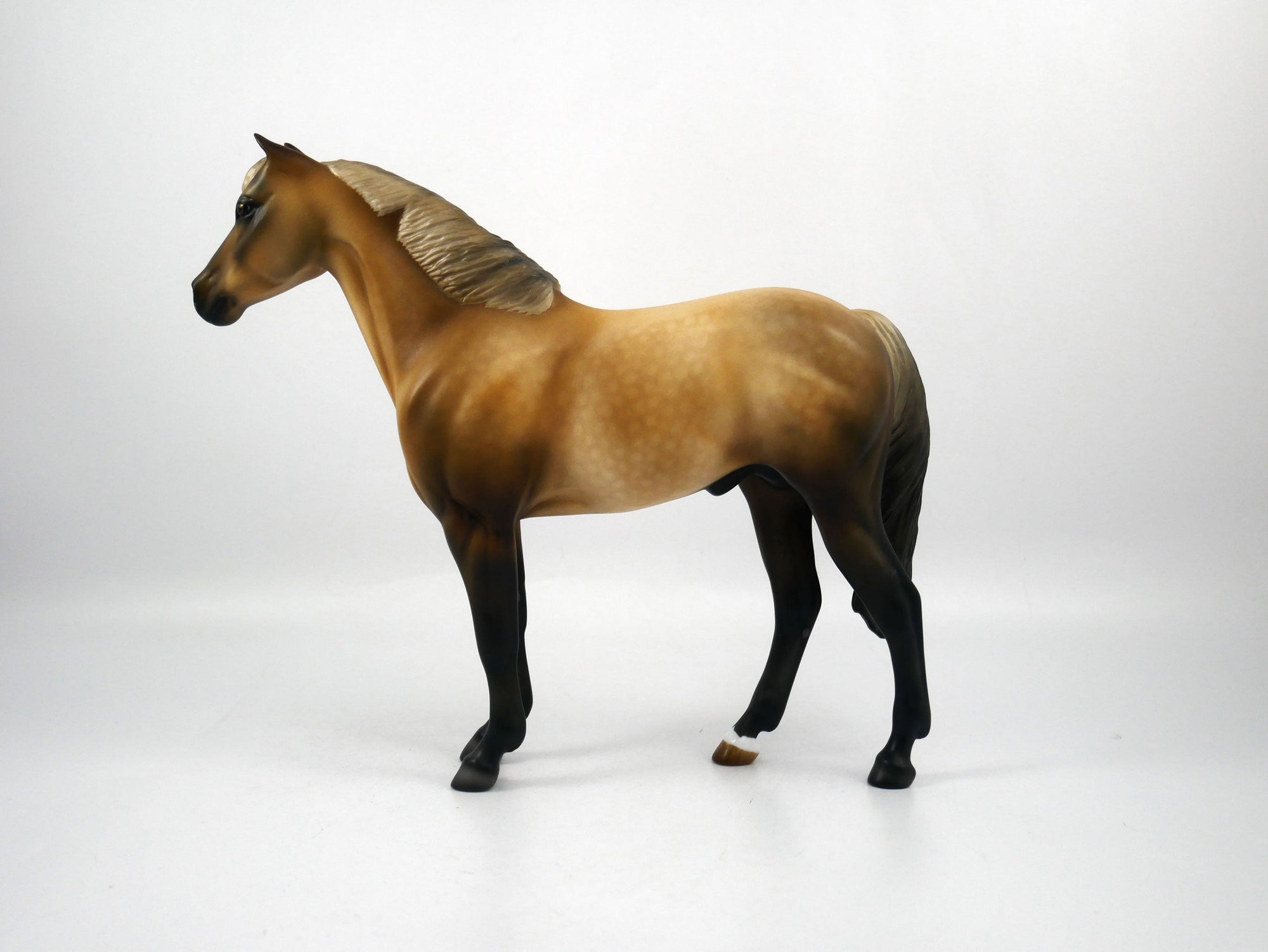 Tampa-OOAK Mustang Painted by Audrey Dixon SB21