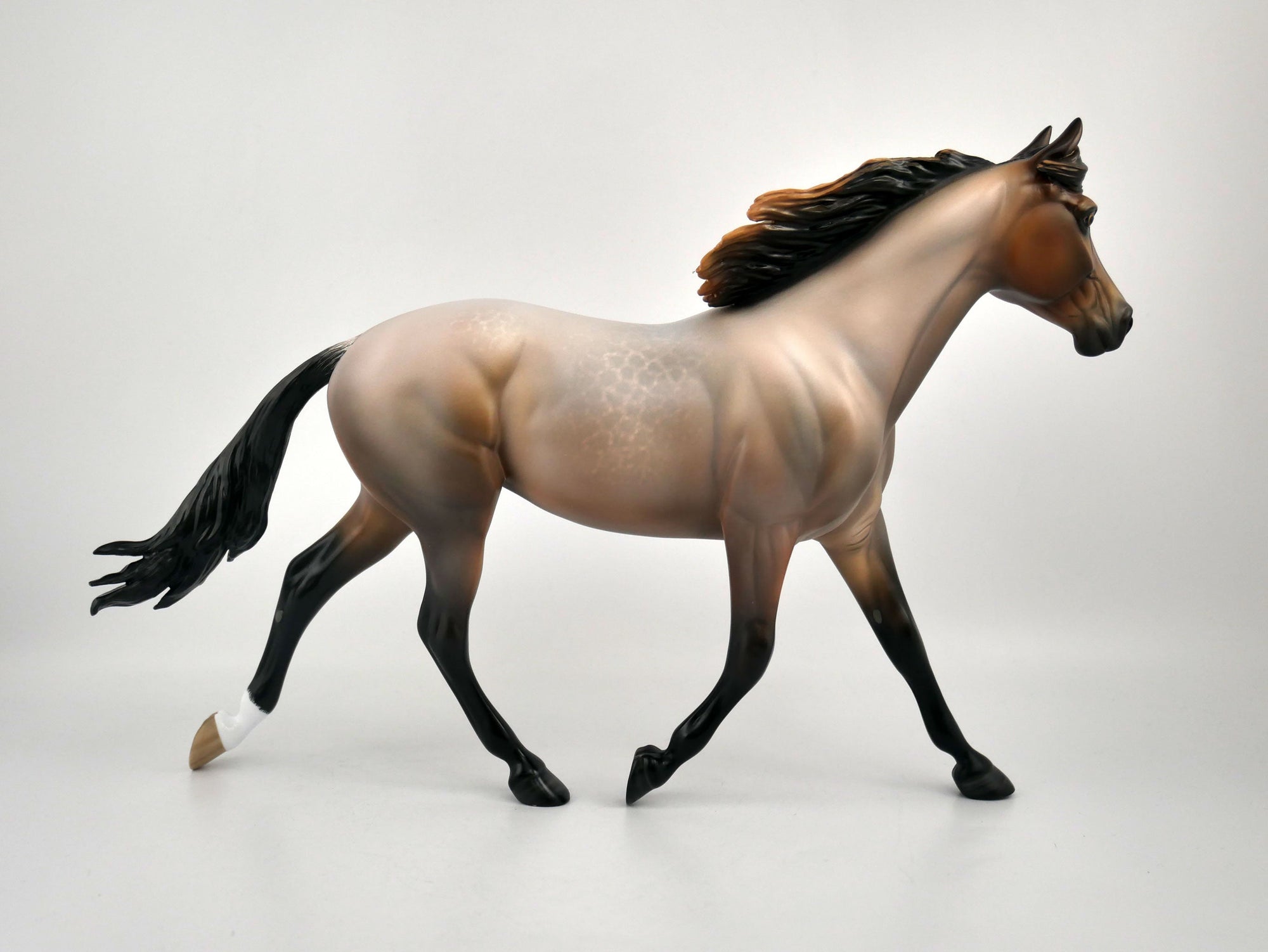 TASHA-OOAK BAY ROAN PALOOSE BY SHERYL LEISURE 11/17/20