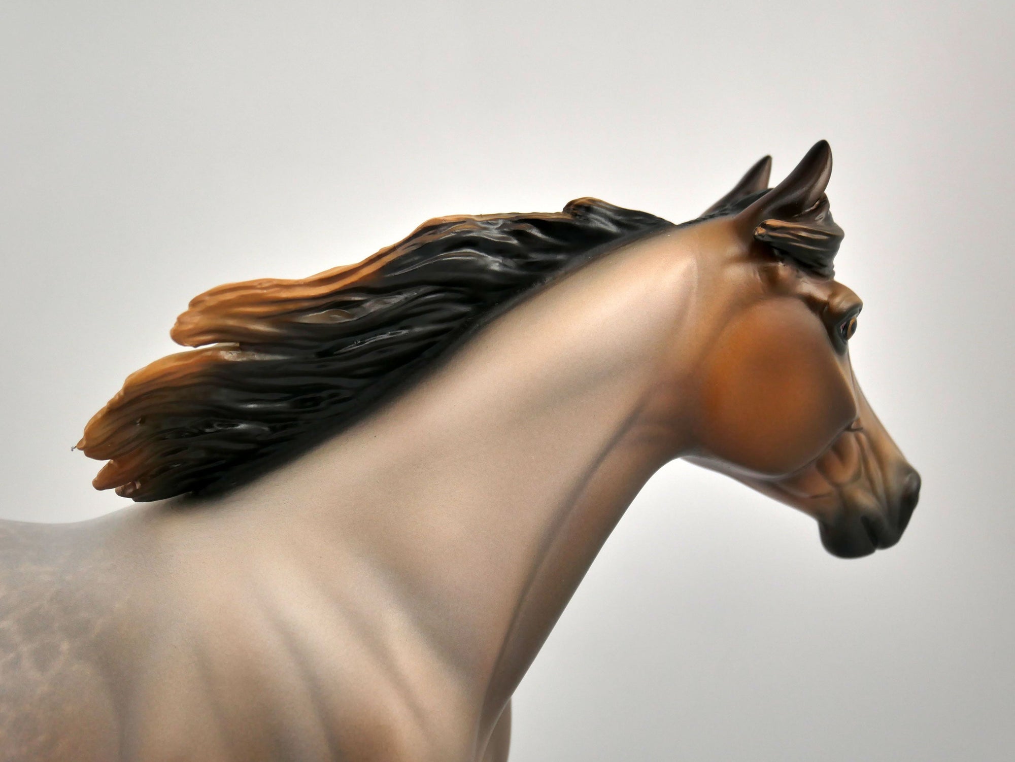 TASHA-OOAK BAY ROAN PALOOSE BY SHERYL LEISURE 11/17/20