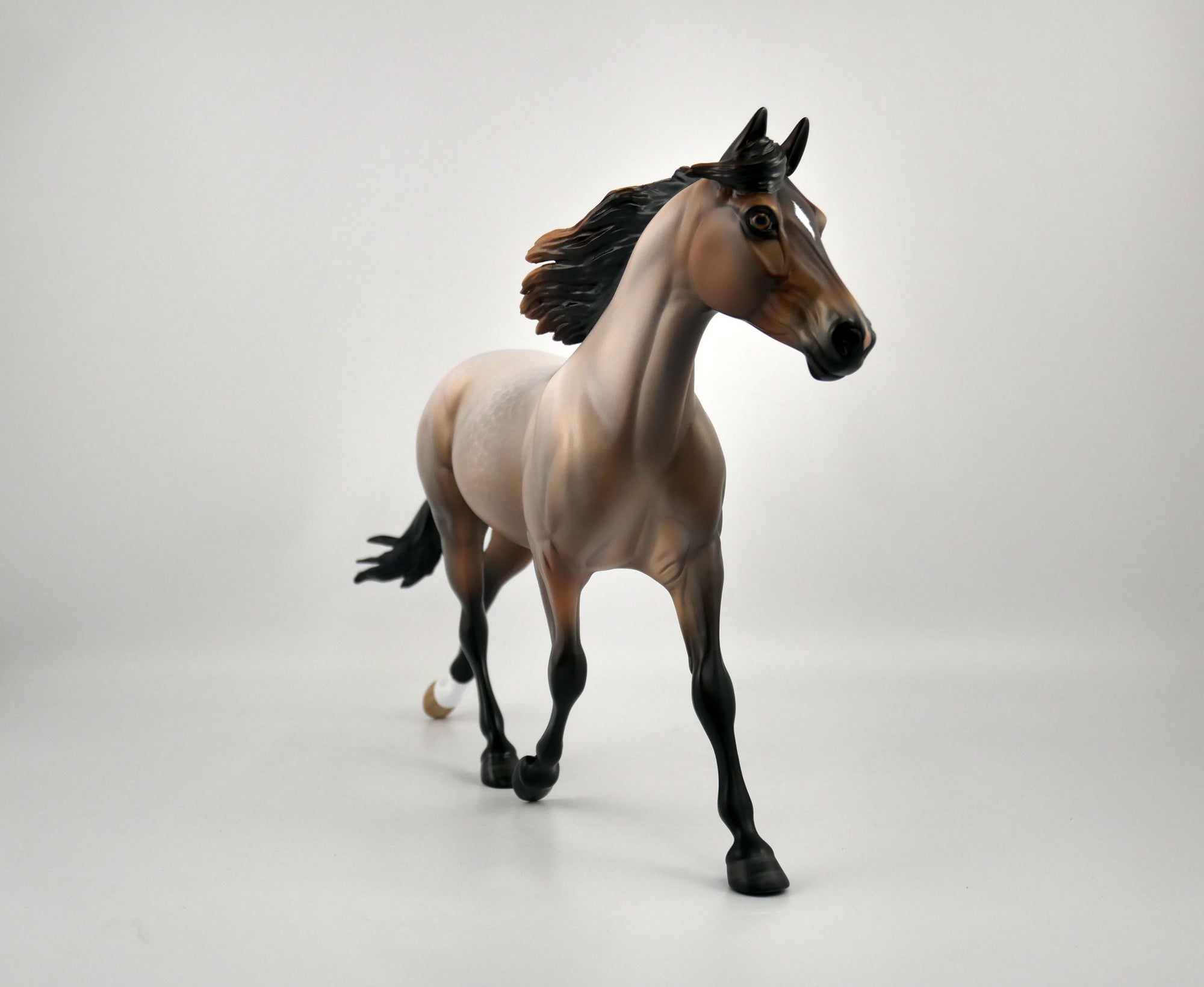 TASHA-OOAK BAY ROAN PALOOSE BY SHERYL LEISURE 11/17/20