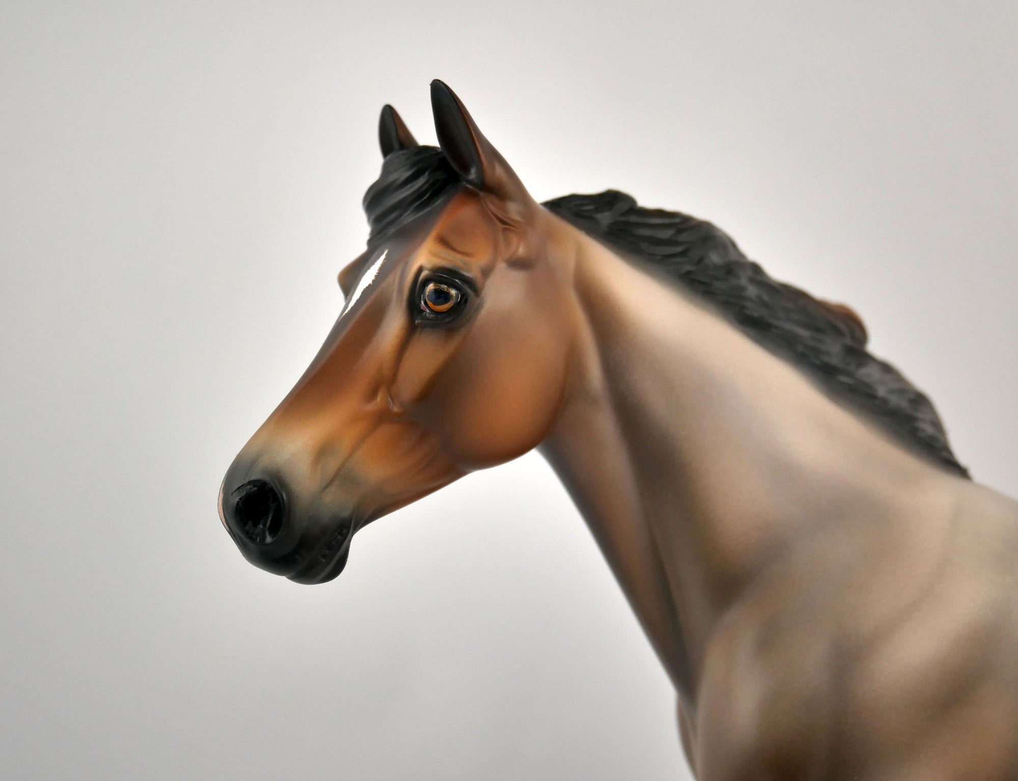 TASHA-OOAK BAY ROAN PALOOSE BY SHERYL LEISURE 11/17/20