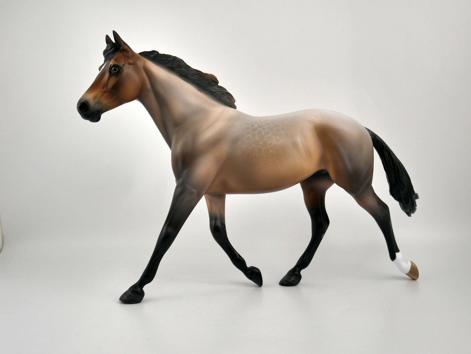 TASHA-OOAK BAY ROAN PALOOSE BY SHERYL LEISURE 11/17/20