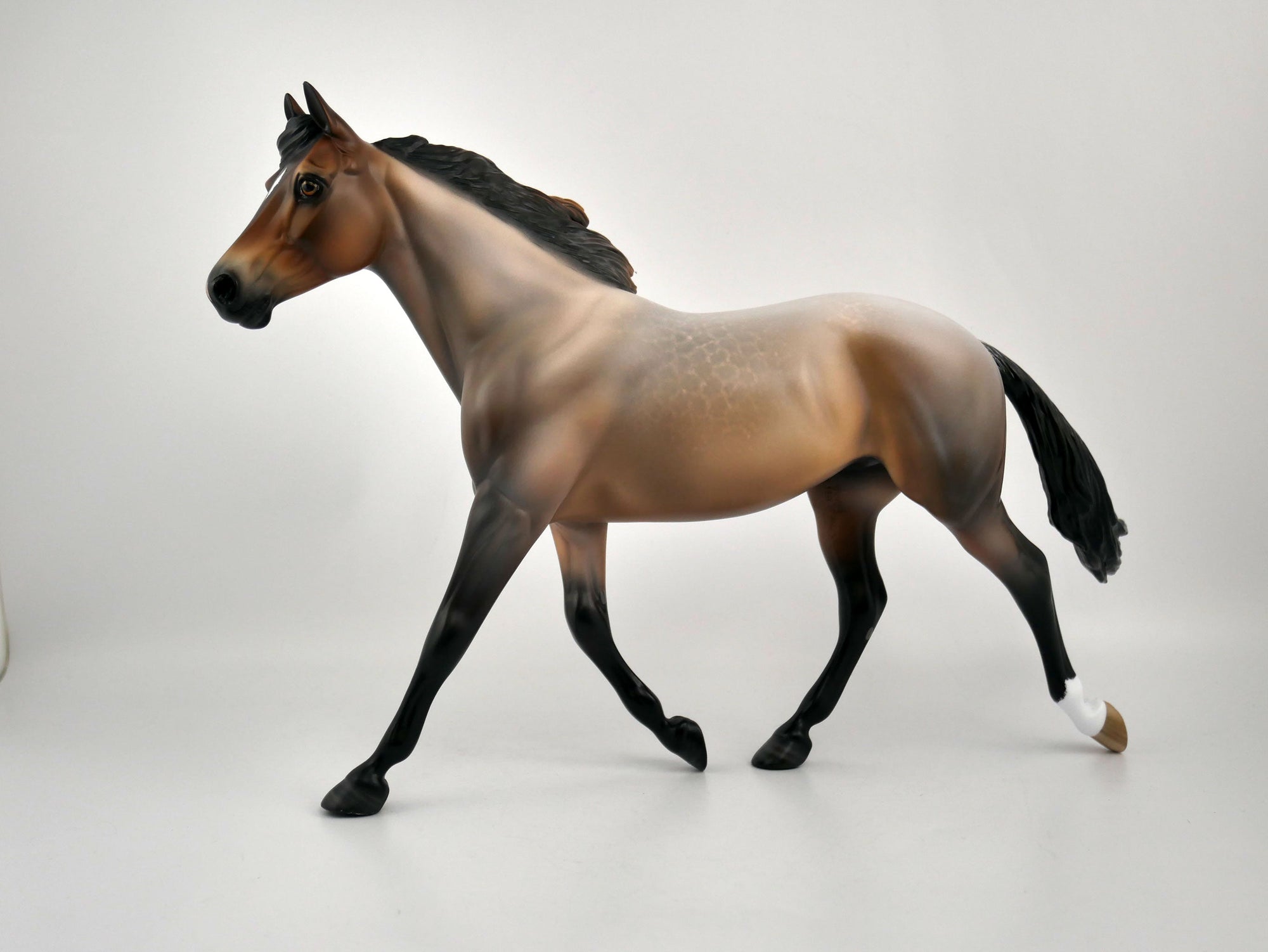 TASHA-OOAK BAY ROAN PALOOSE BY SHERYL LEISURE 11/17/20