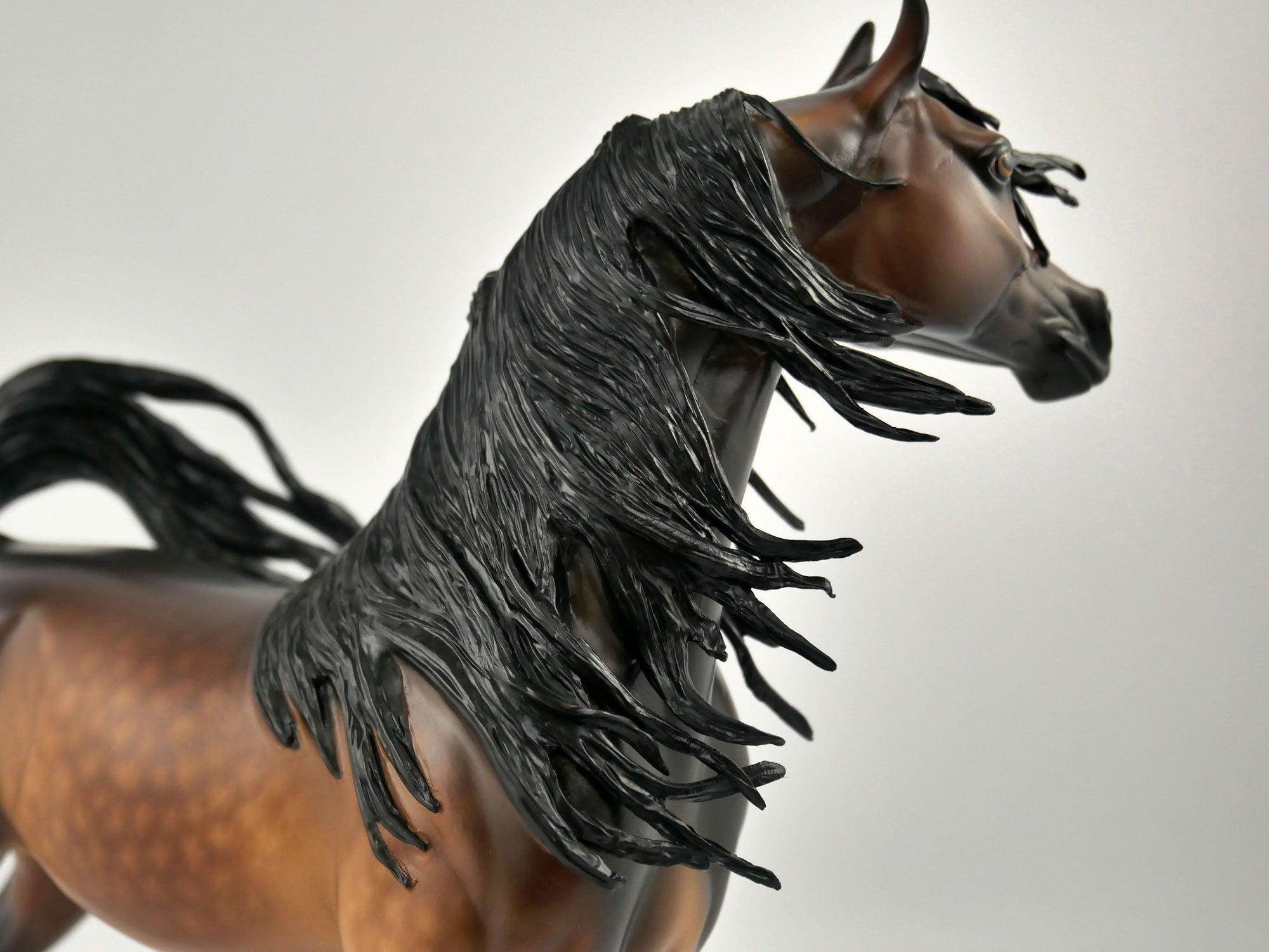 TASHAUN-OOAK BAY ARABIAN BY SHERYL LEISURE 11/17/20