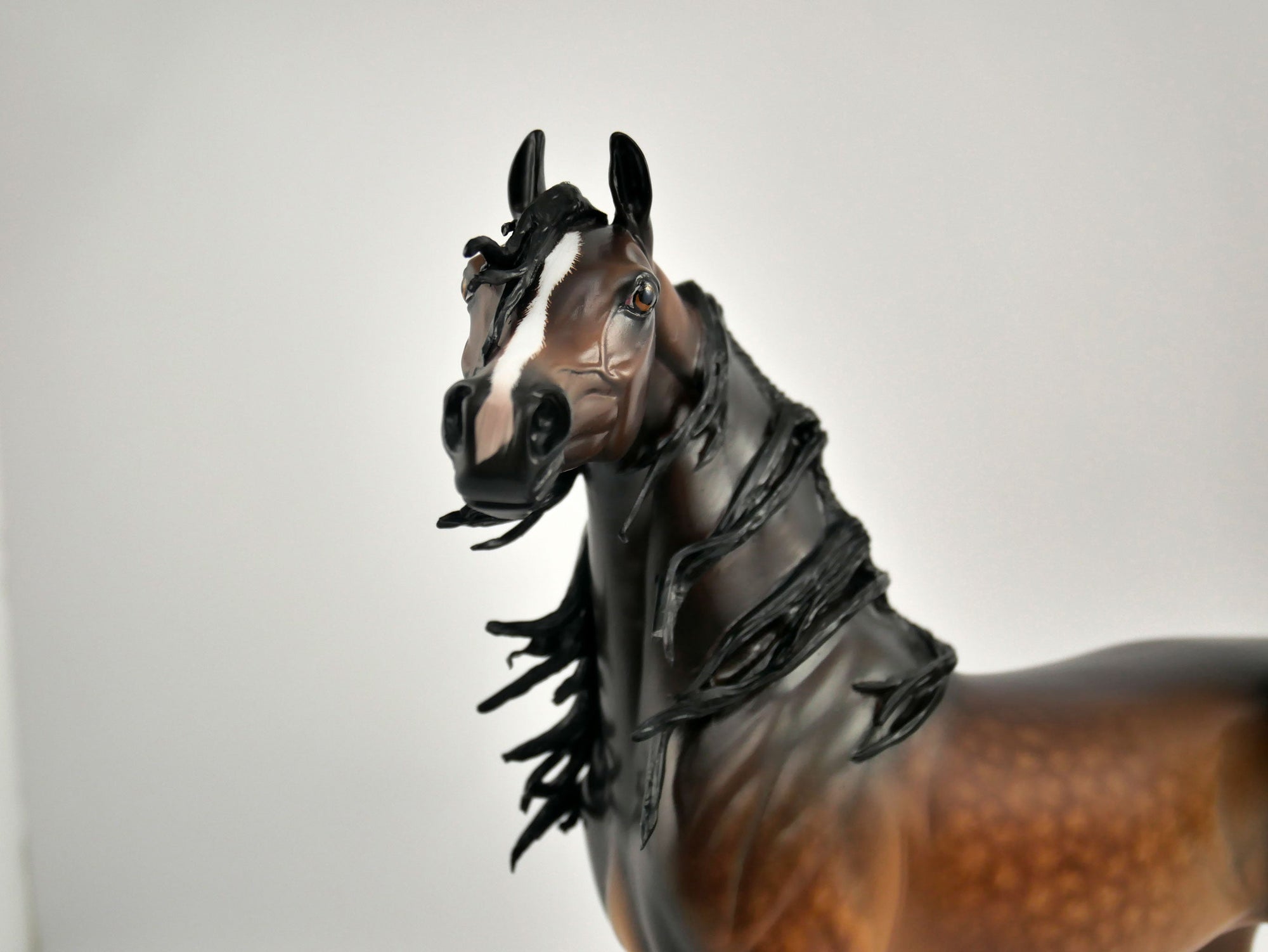 TASHAUN-OOAK BAY ARABIAN BY SHERYL LEISURE 11/17/20