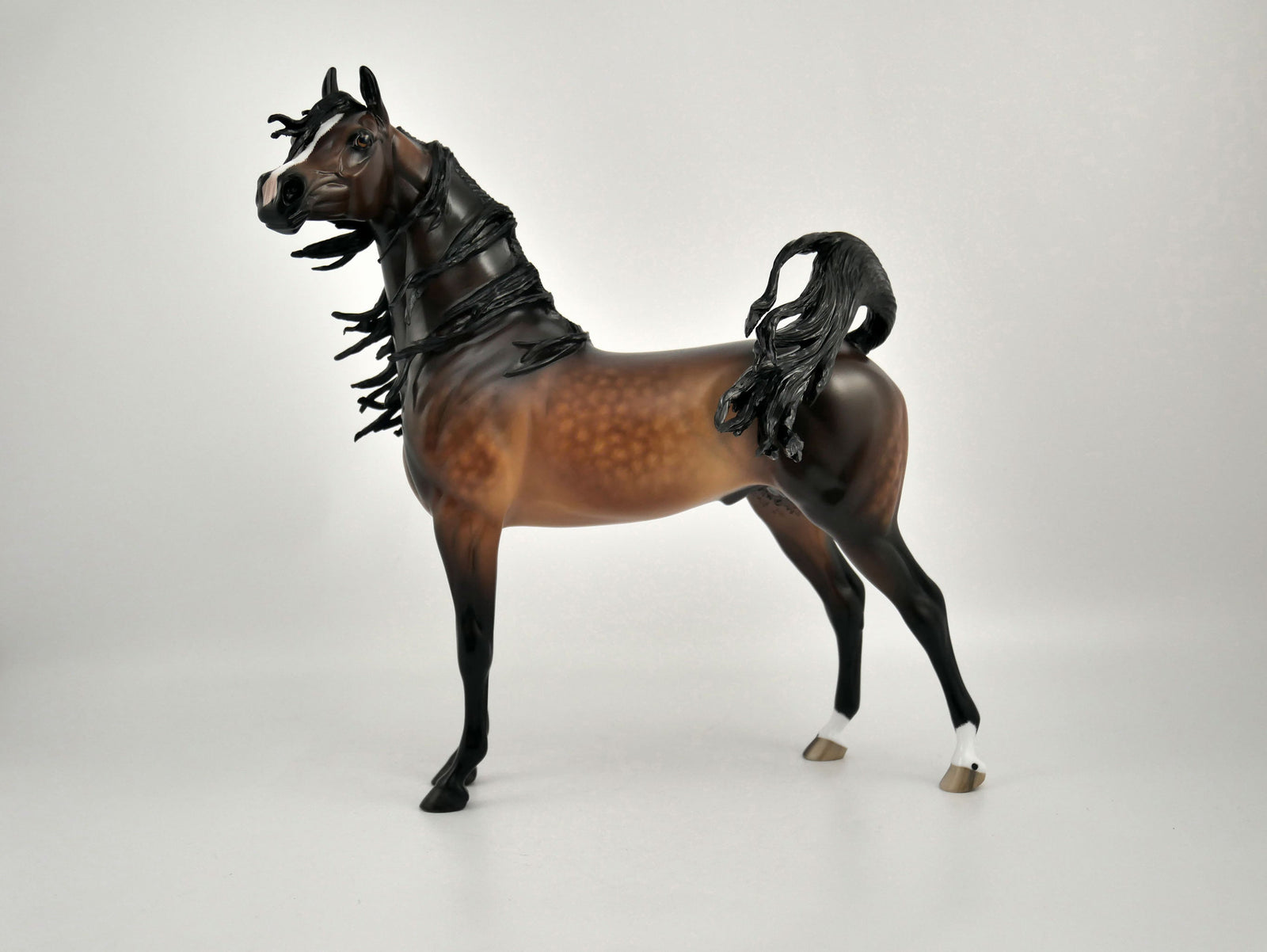 TASHAUN-OOAK BAY ARABIAN BY SHERYL LEISURE 11/17/20