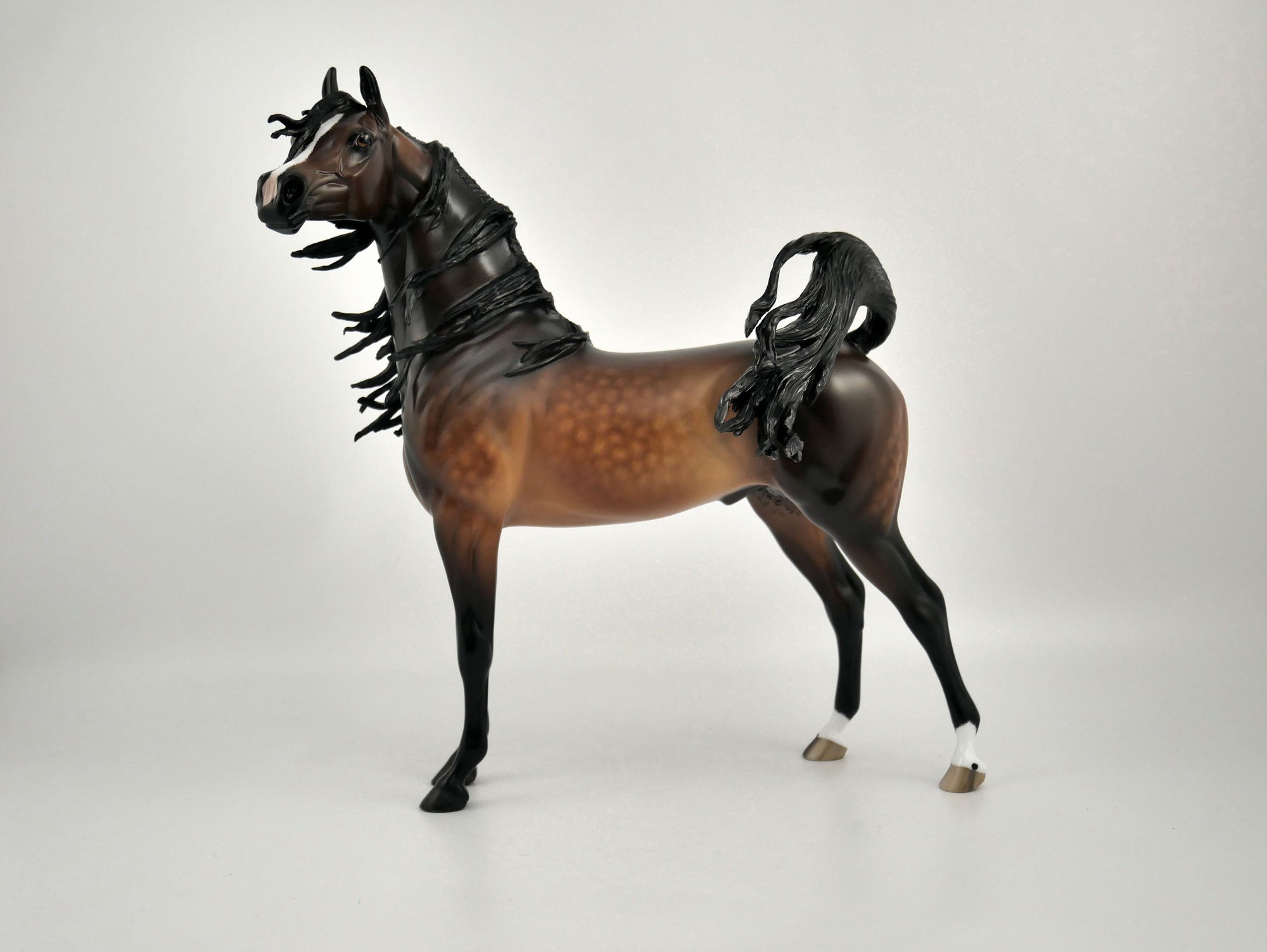 TASHAUN-OOAK BAY ARABIAN BY SHERYL LEISURE 11/17/20