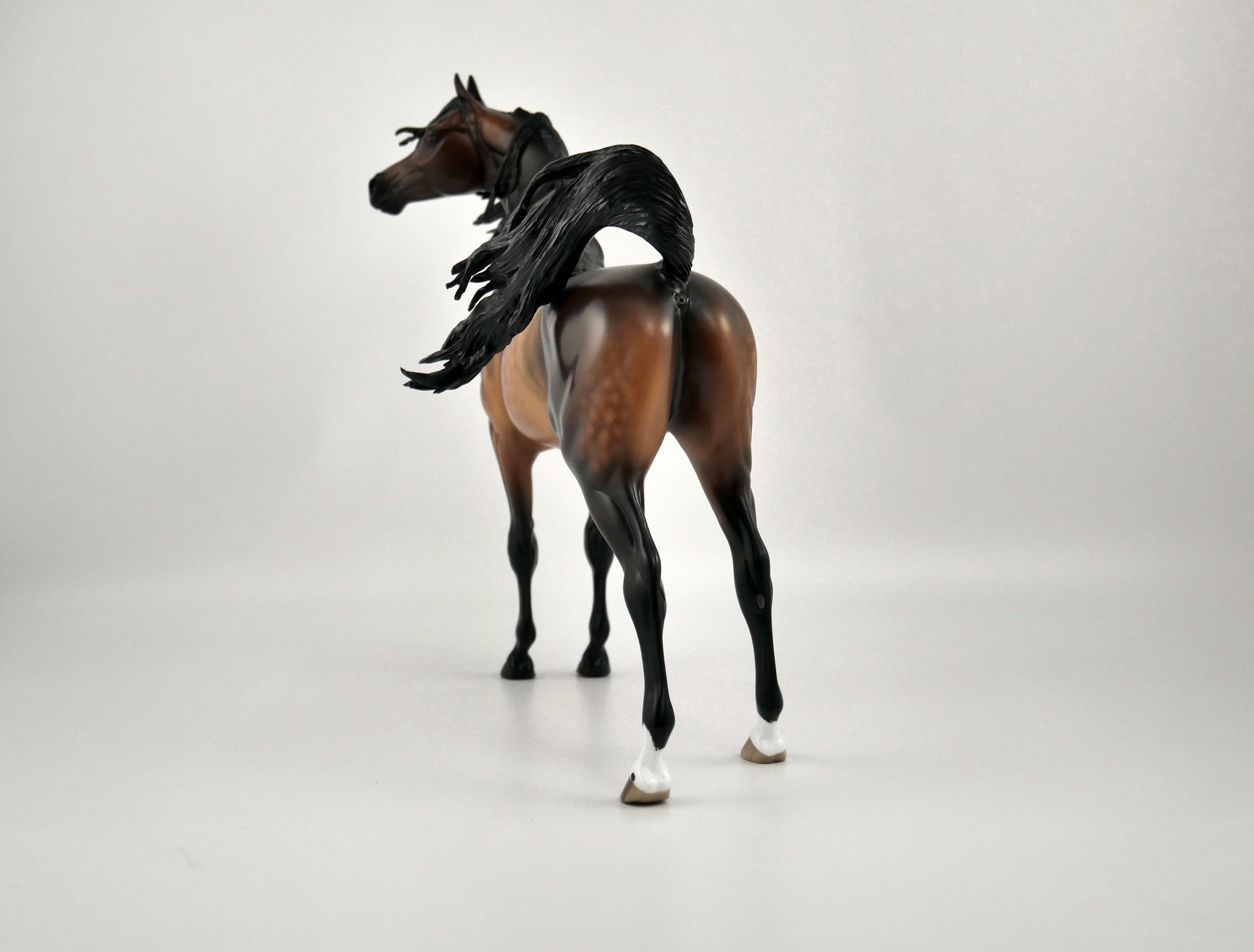 TASHAUN-OOAK BAY ARABIAN BY SHERYL LEISURE 11/17/20