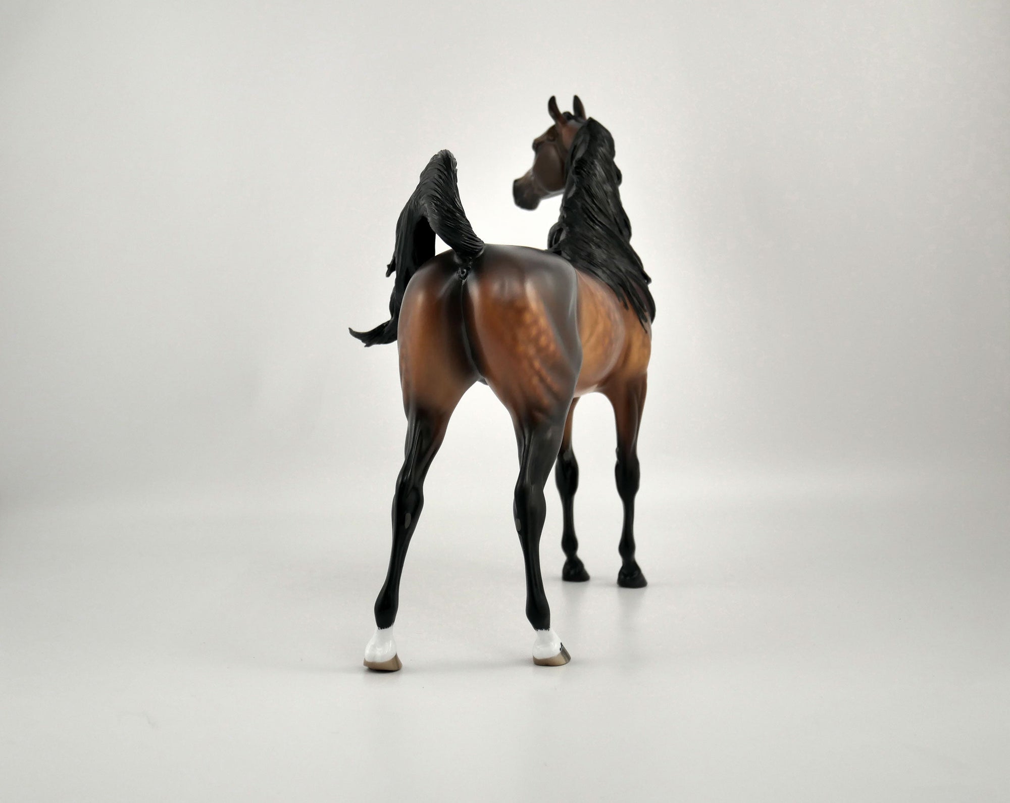 TASHAUN-OOAK BAY ARABIAN BY SHERYL LEISURE 11/17/20