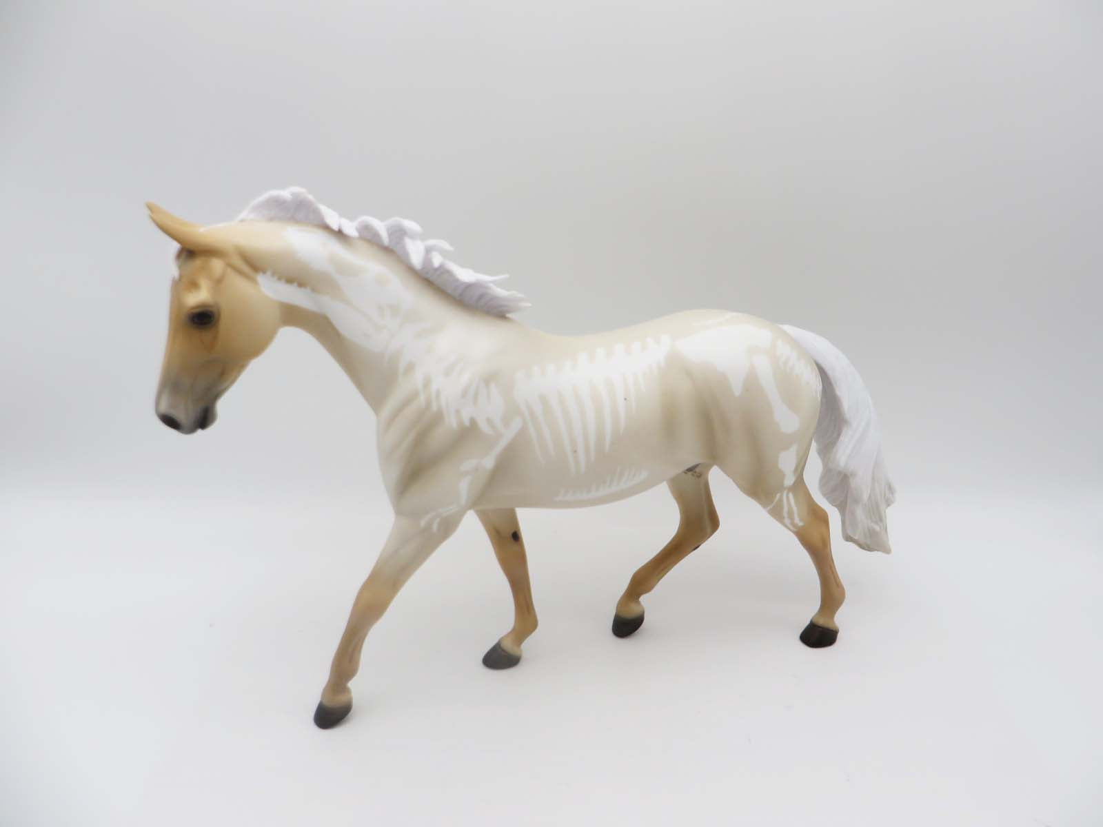 SAMPLE of Tate with Bones Palomino Roan with Young T Rex Bones By Ellen Robbins