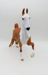 Tate- OOAK - Saddlebred By Dawn Quick - Paws and Claws - P&amp;C 23