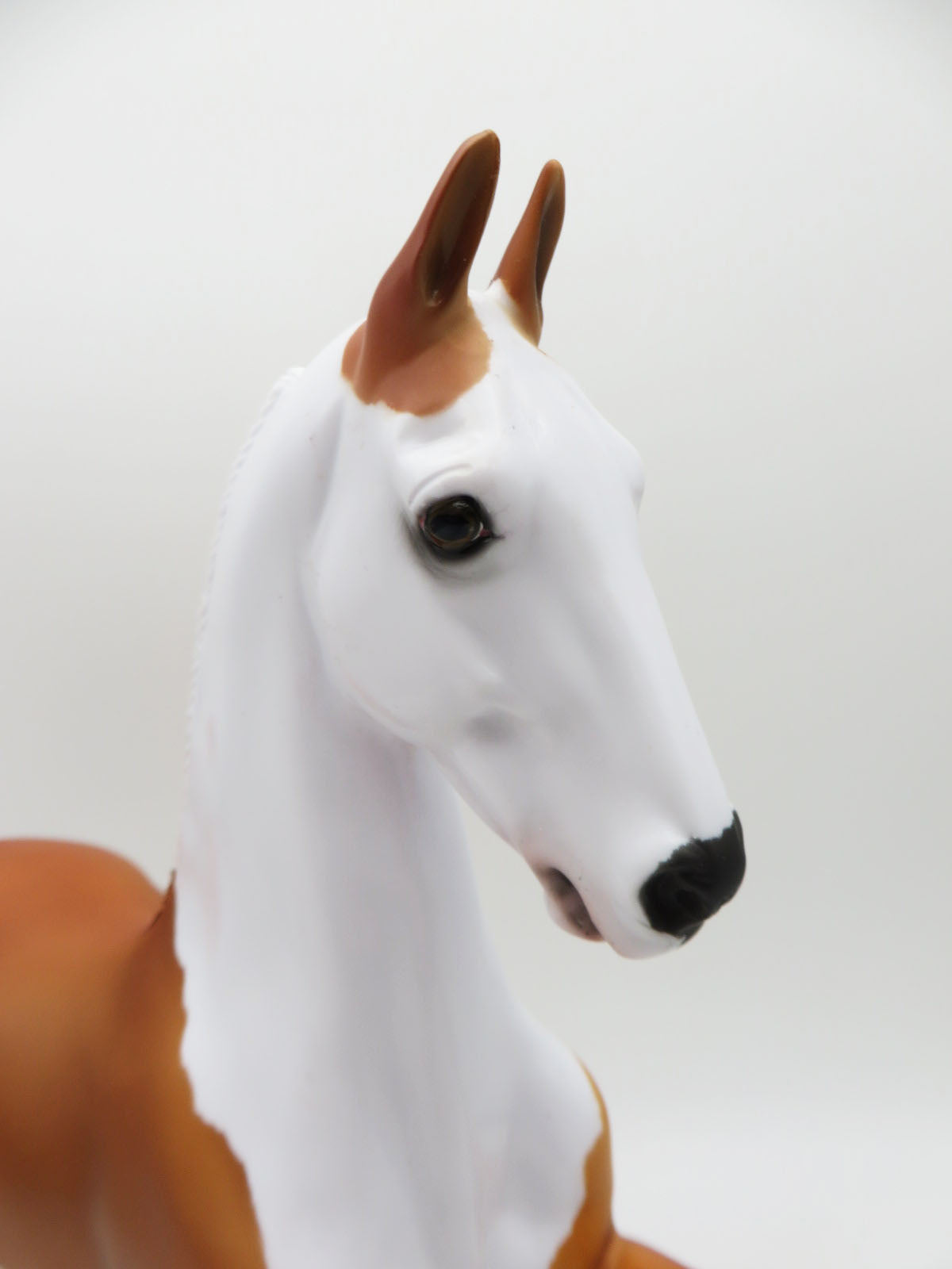 Tate- OOAK - Saddlebred By Dawn Quick - Paws and Claws - P&amp;C 23