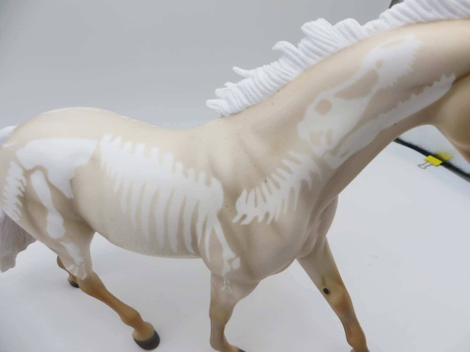 SAMPLE of Tate with Bones Palomino Roan with Young T Rex Bones By Ellen Robbins