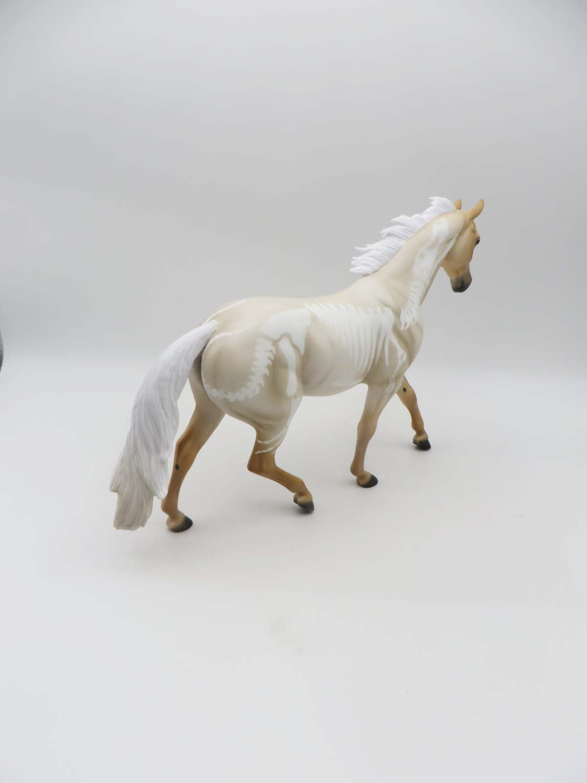 SAMPLE of Tate with Bones Palomino Roan with Young T Rex Bones By Ellen Robbins