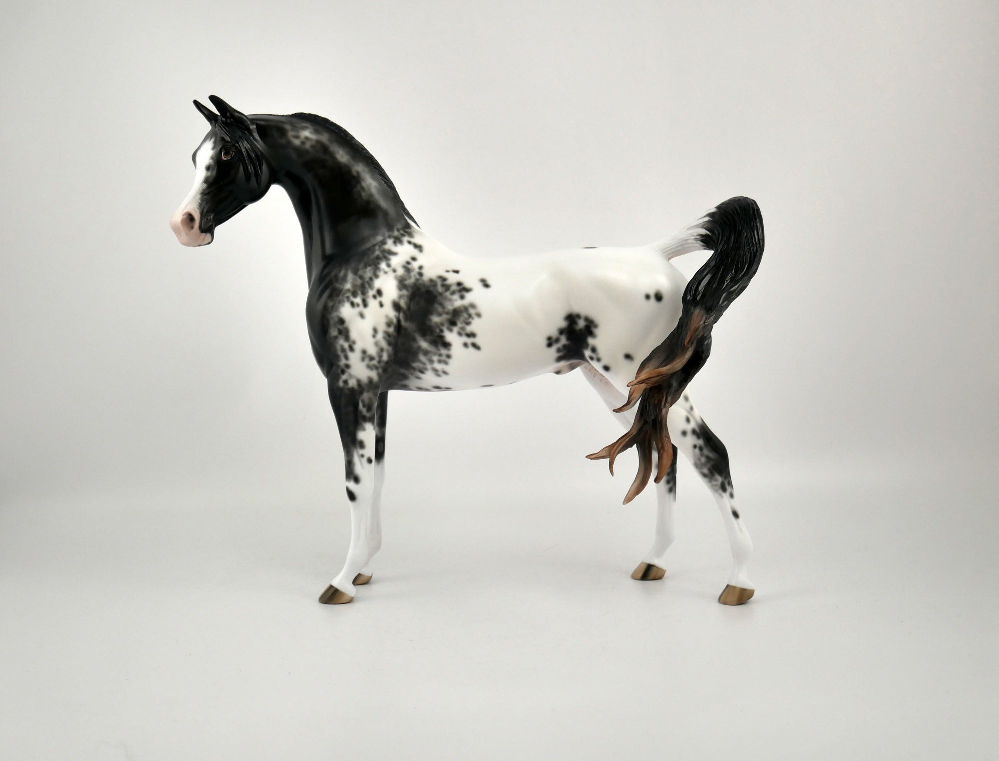 TAVARES-OOAK BLACK APPALOOSA ARABIAN BY SHERYL LEISURE 11/17/20
