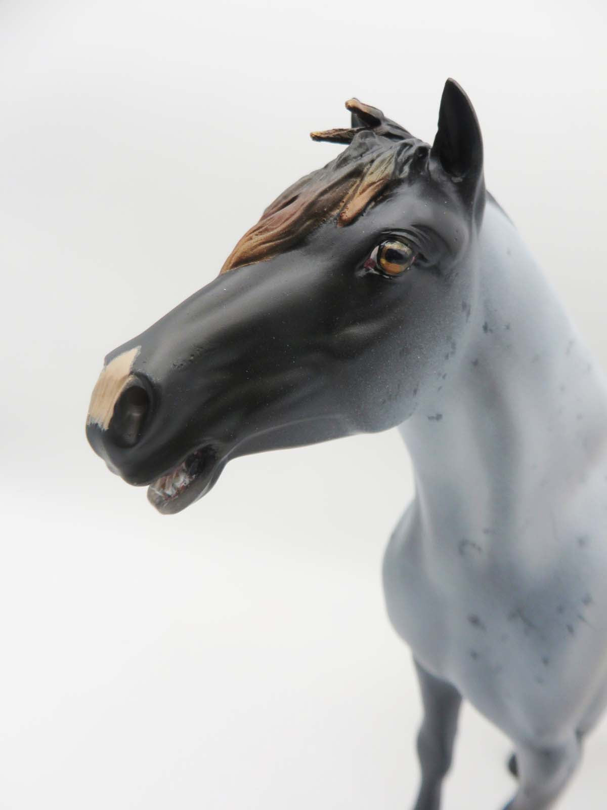 Tzagan - OOAK - Blue Roan with Sunburnt Tail and Mane Mustang Stallion By Myla Pearce - SHCF23 Best Offer