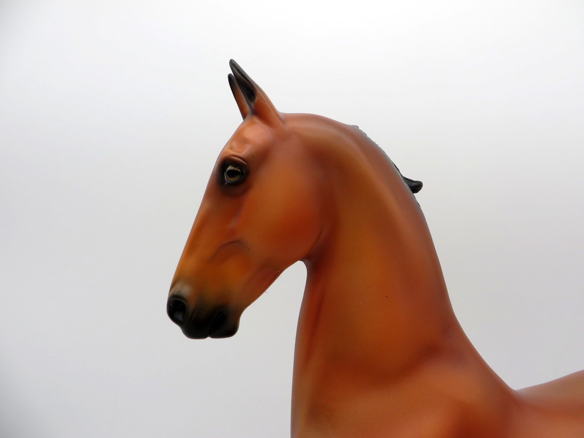 Tennyson-OOAK Bay Saddlebred Painted By  Ellen Robbins EQ 2021
