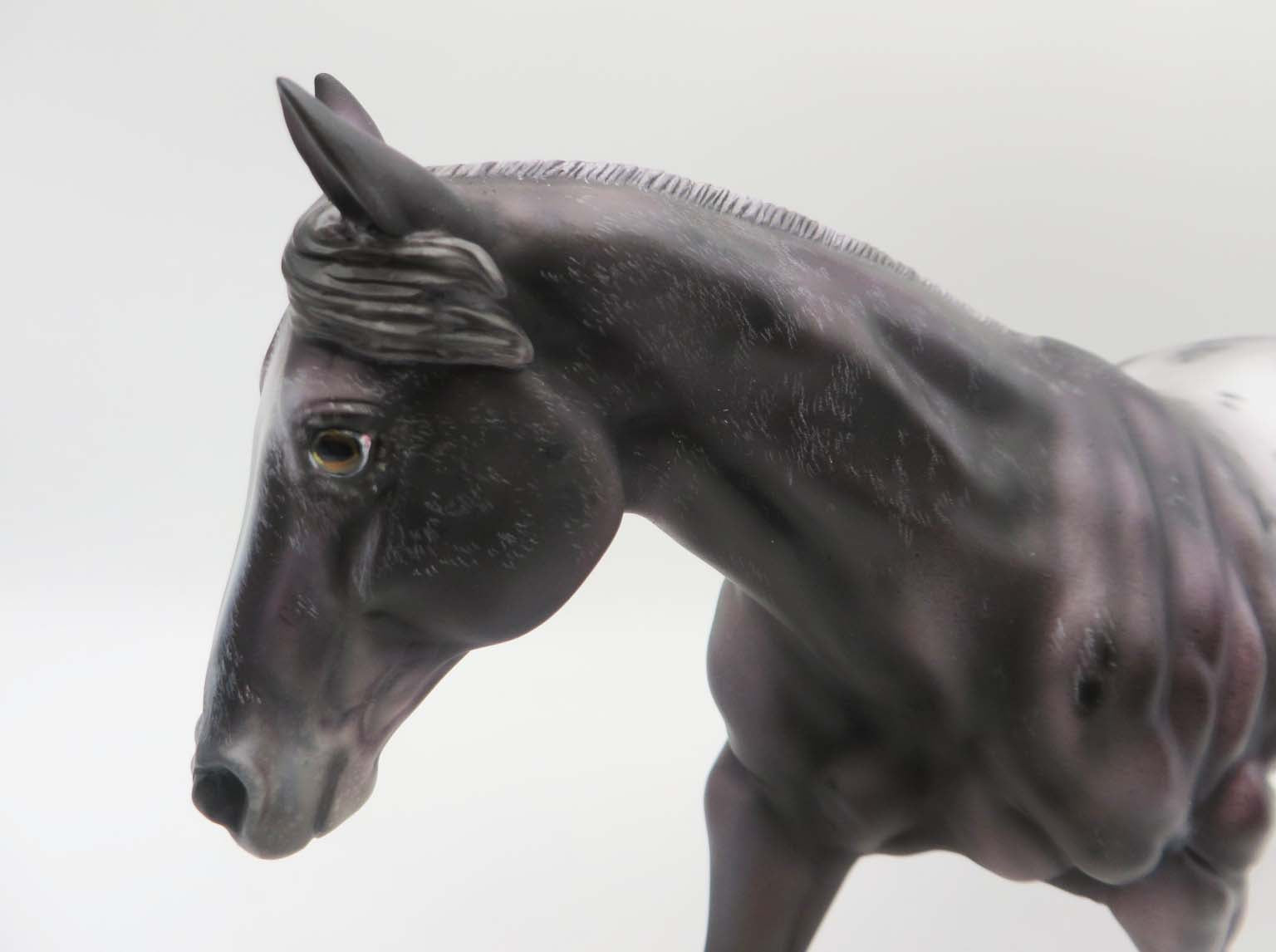 Texas Jack-OOAK Grey Appaloosa Running Stock Horse by Julie Keim SHCF23 Best Offer