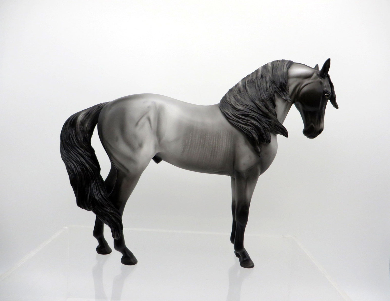 Thale-OOAK Black Andalusian 3/15/21