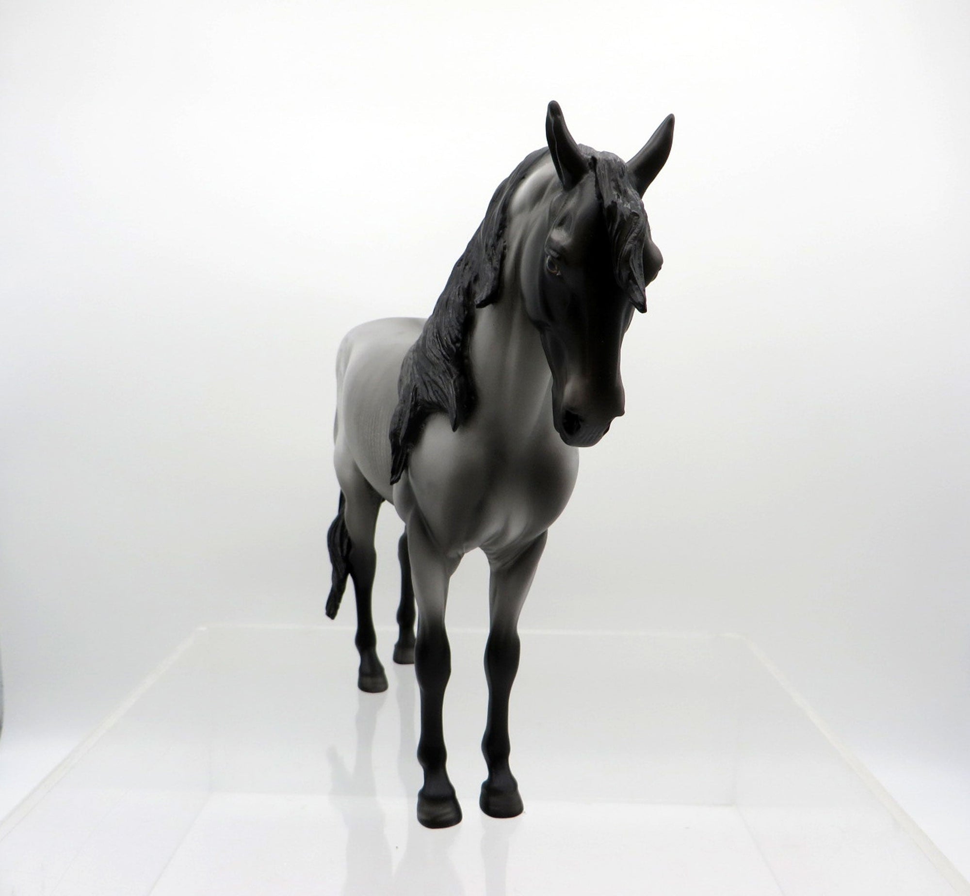 Thale-OOAK Black Andalusian 3/15/21