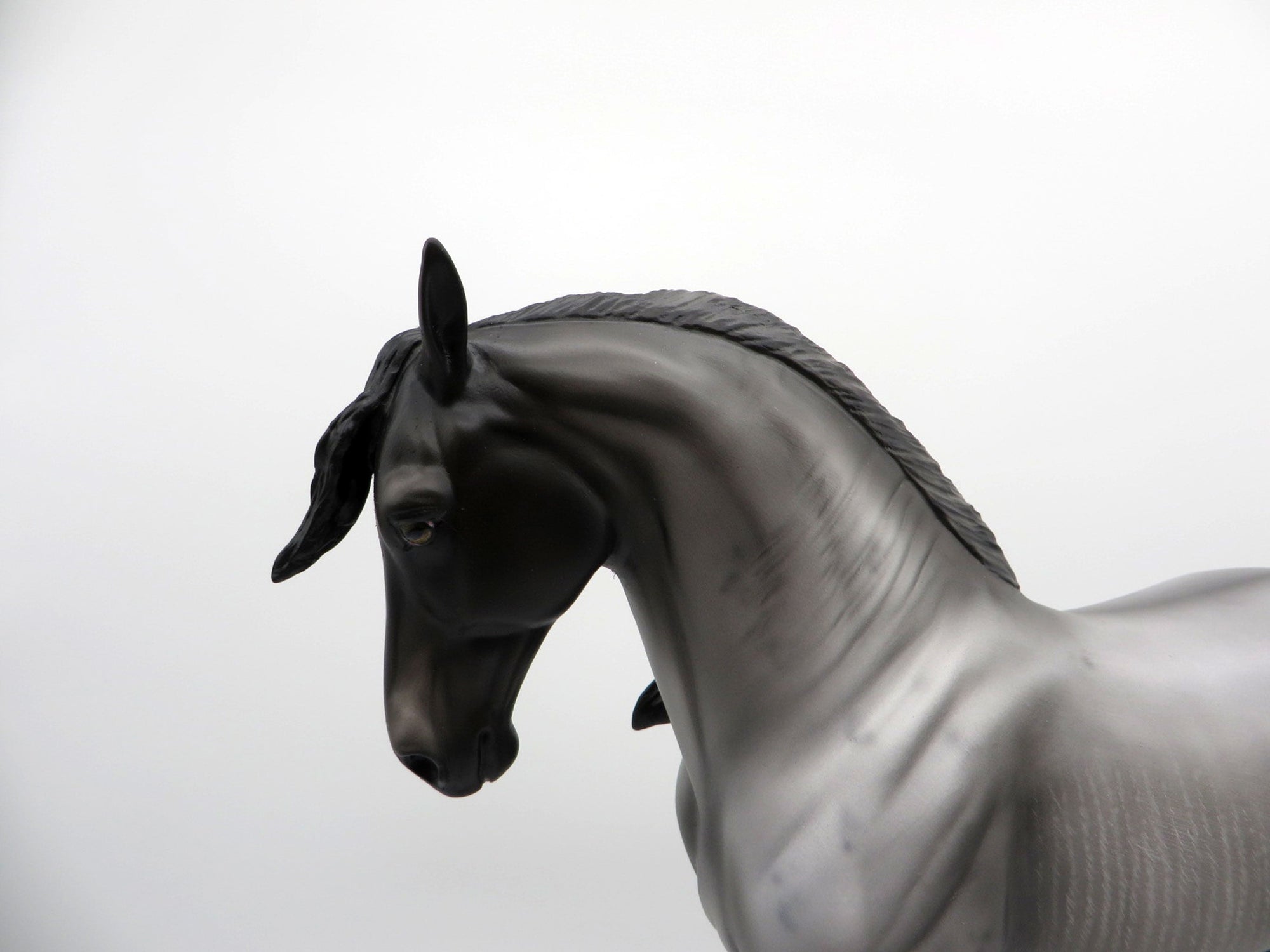 Thale-OOAK Black Andalusian 3/15/21