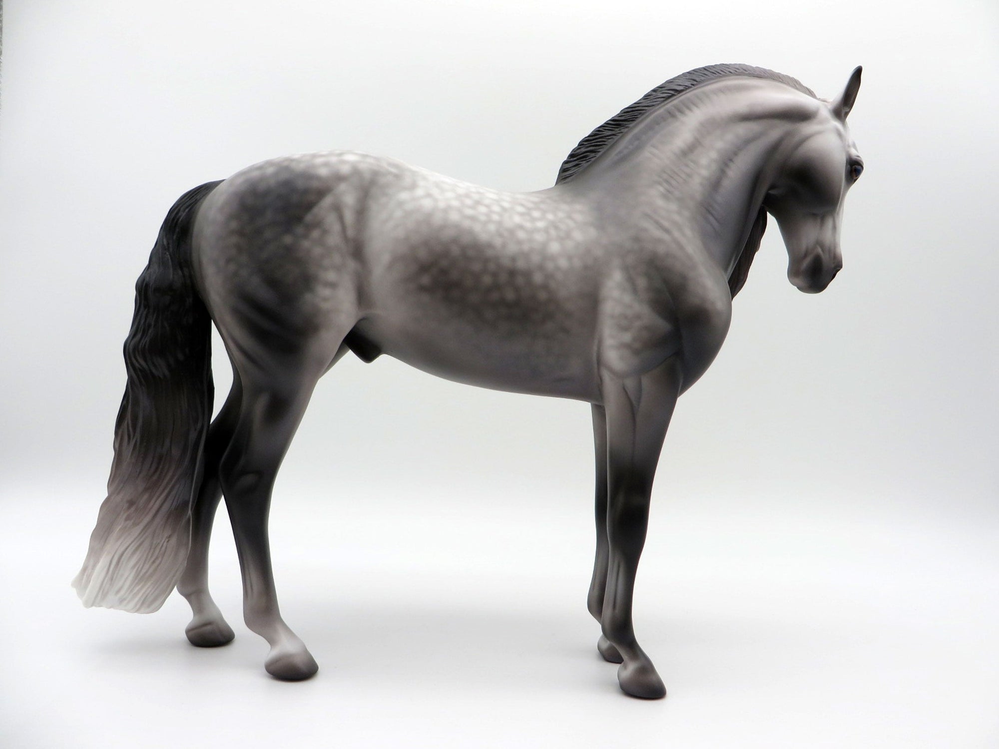 Thames-OOAK  Dapple Grey Andalusian By Caroline Boydston 4/5/21