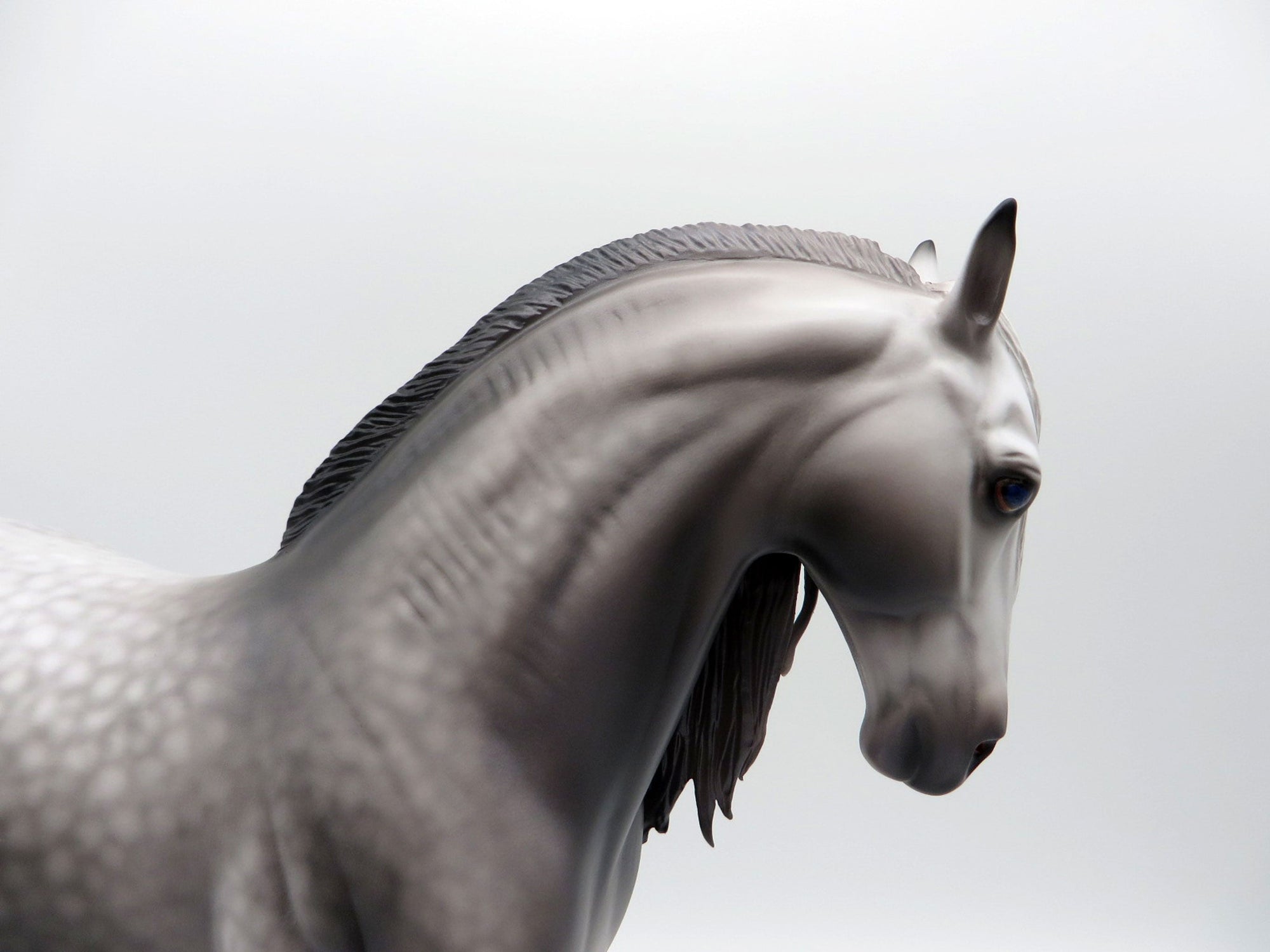 Thames-OOAK  Dapple Grey Andalusian By Caroline Boydston 4/5/21