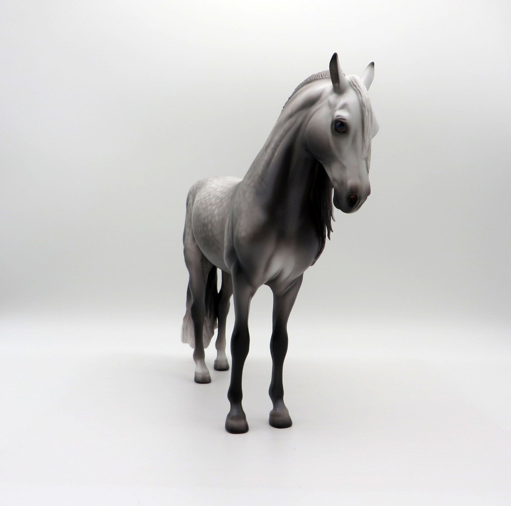 Thames-OOAK  Dapple Grey Andalusian By Caroline Boydston 4/5/21