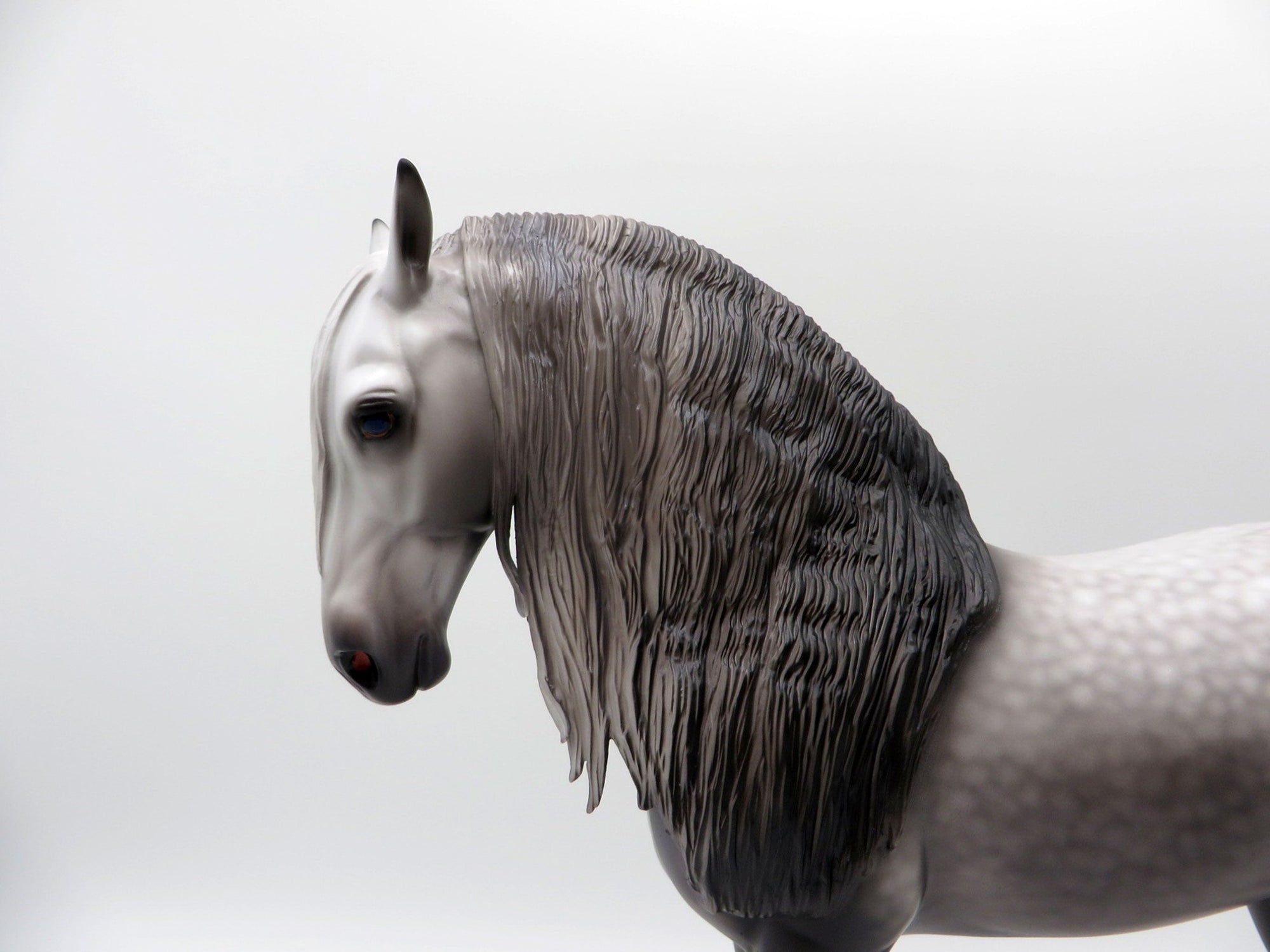 Thames-OOAK  Dapple Grey Andalusian By Caroline Boydston 4/5/21