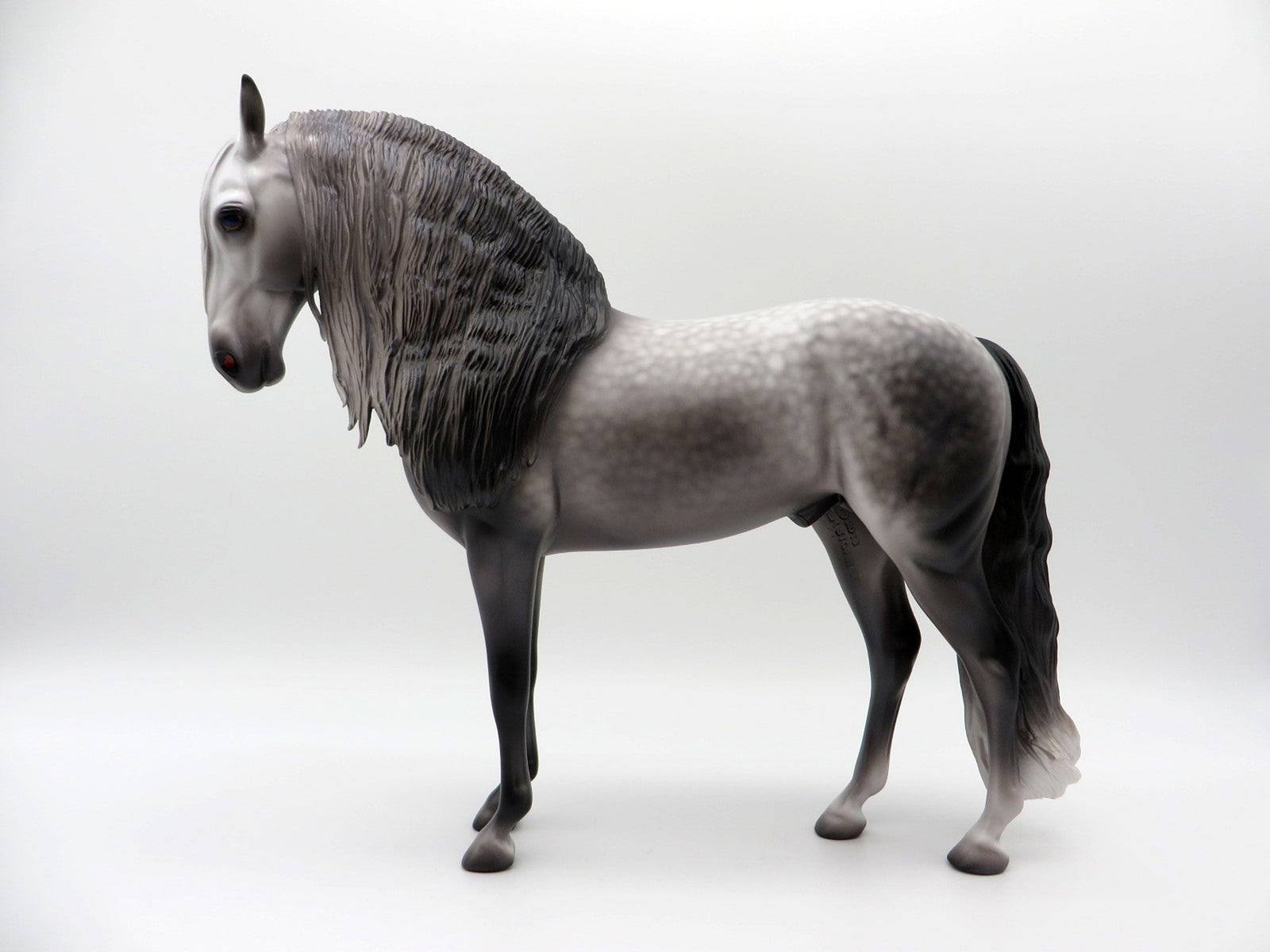 Thames-OOAK  Dapple Grey Andalusian By Caroline Boydston 4/5/21